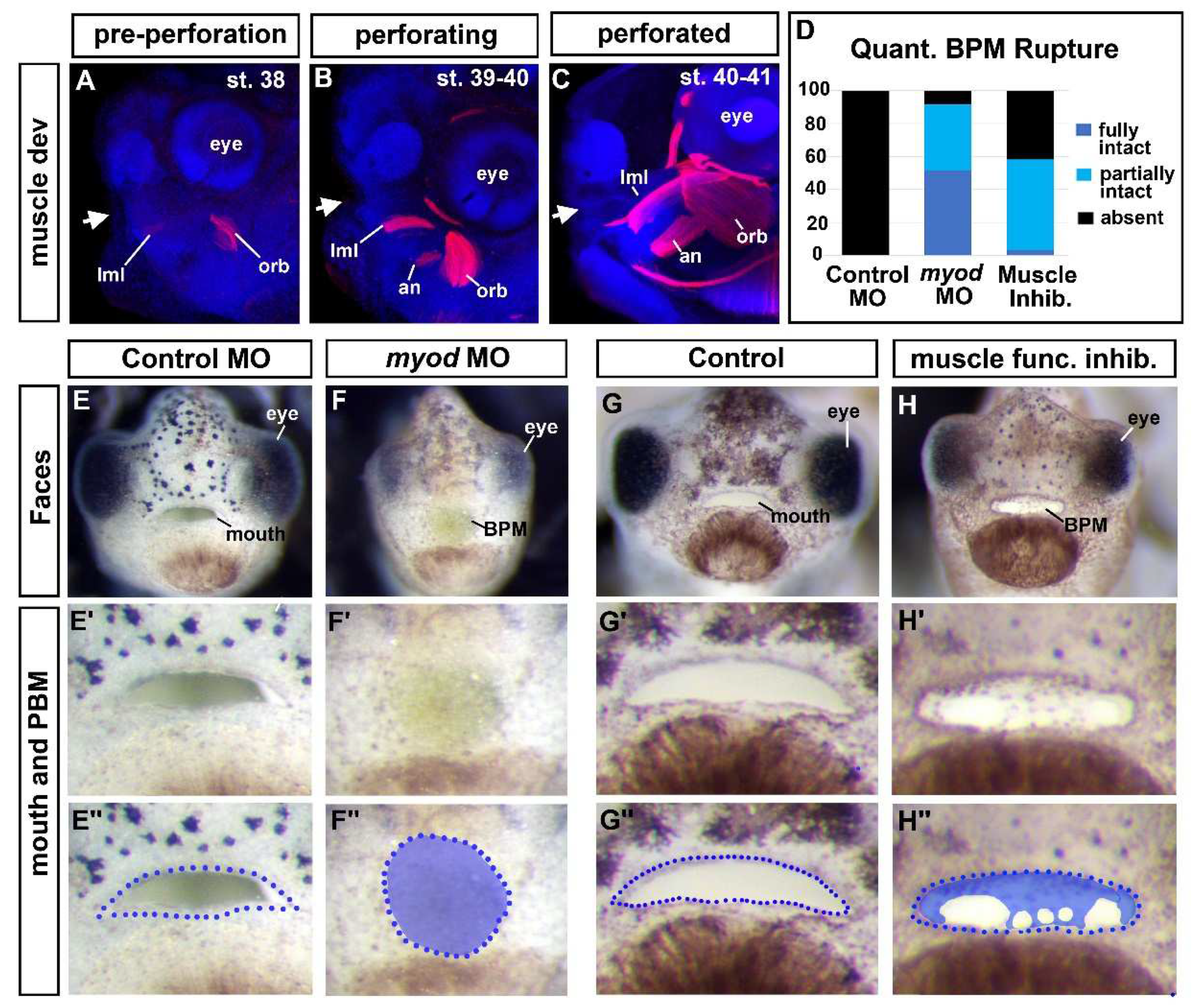 Preprints 70860 g004