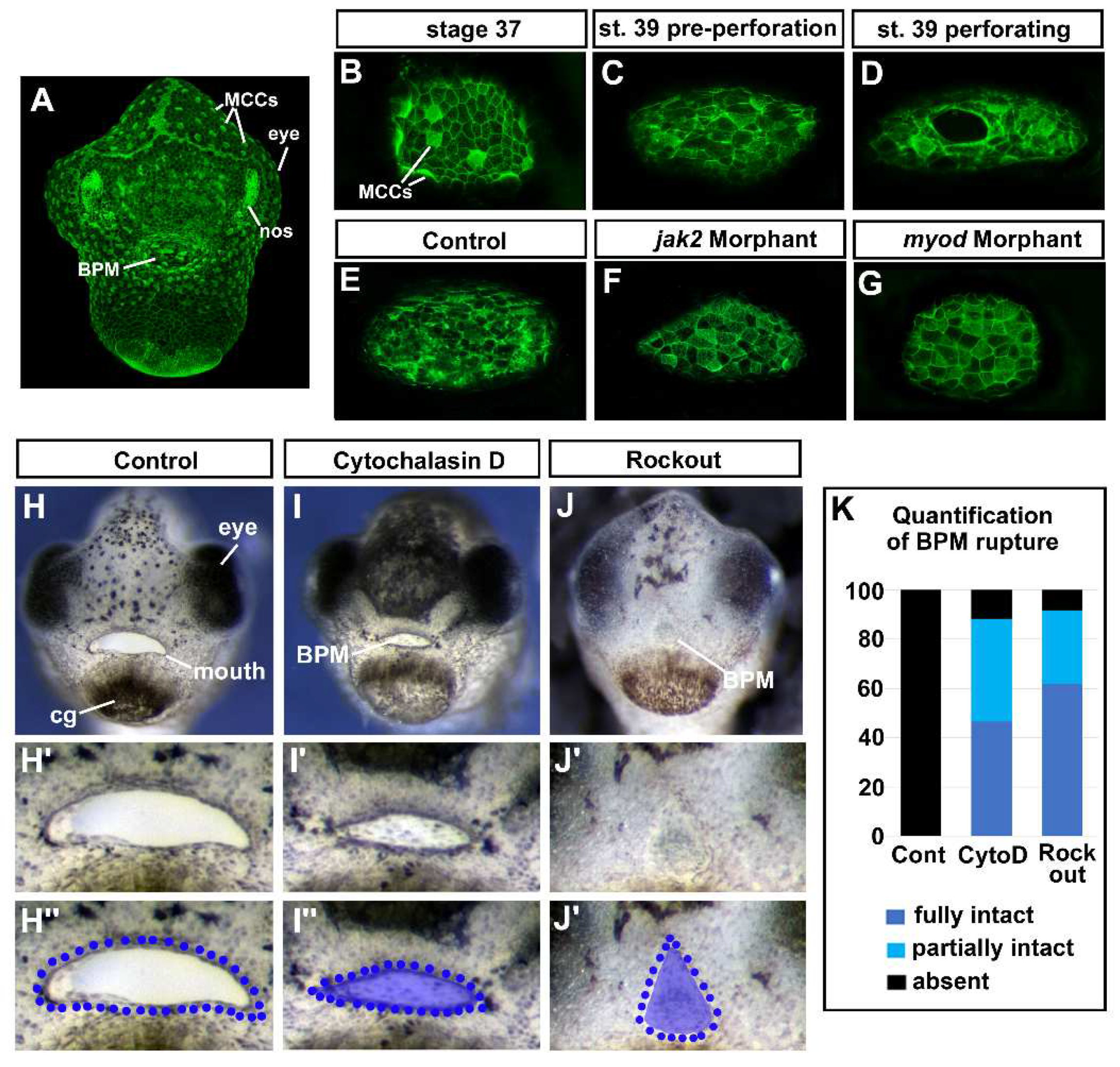 Preprints 70860 g006