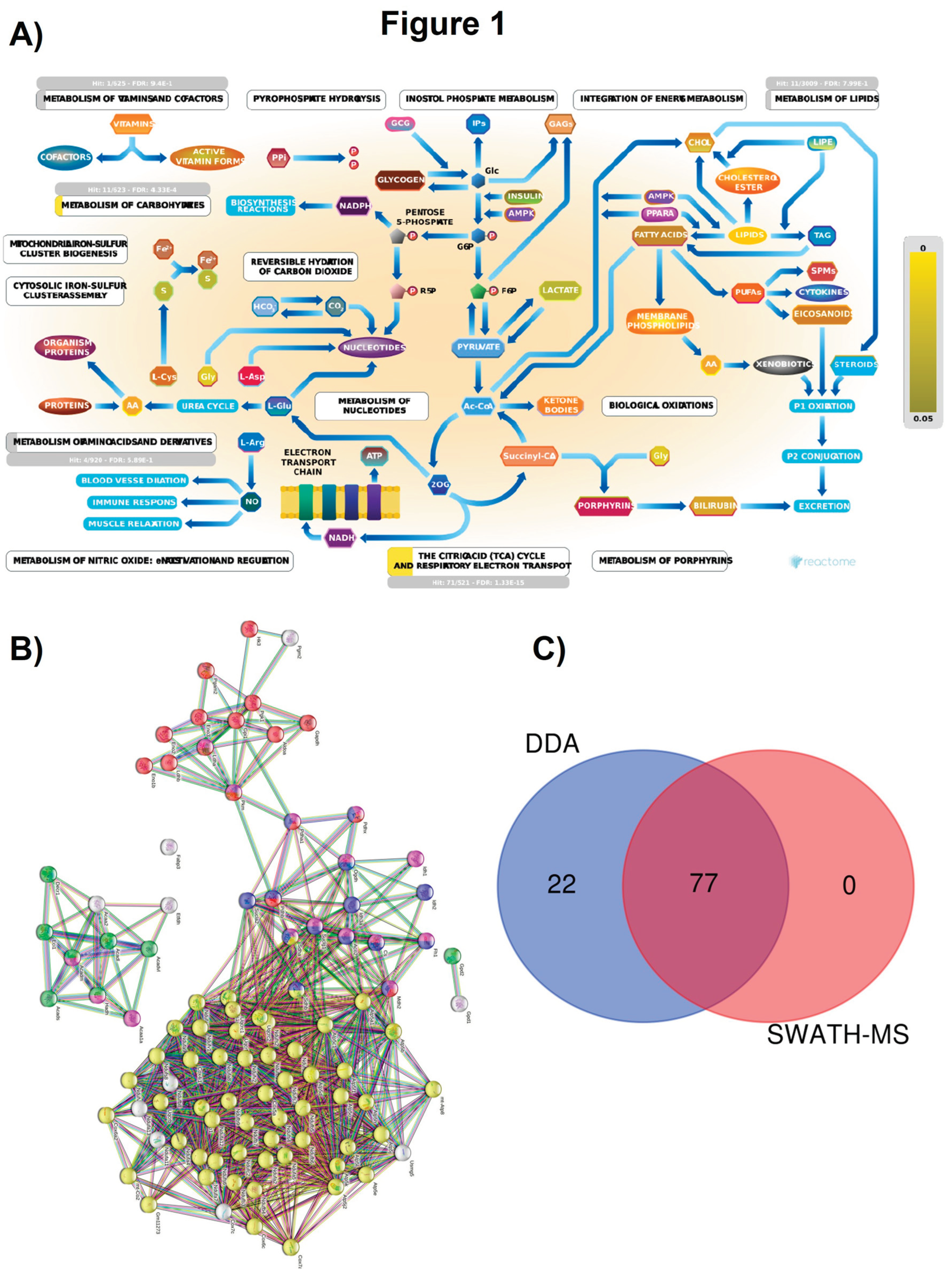 Preprints 97825 g001