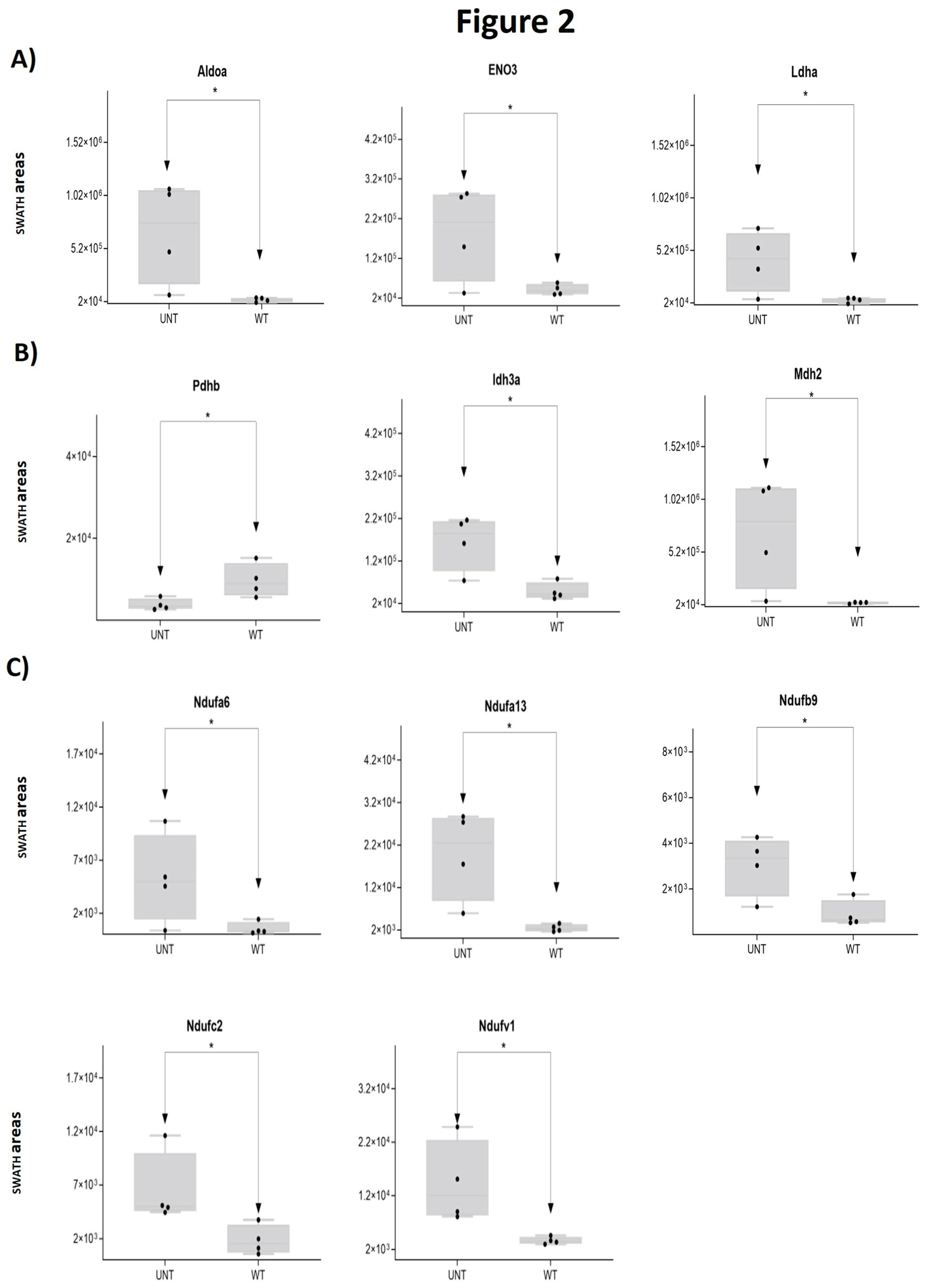 Preprints 97825 g002