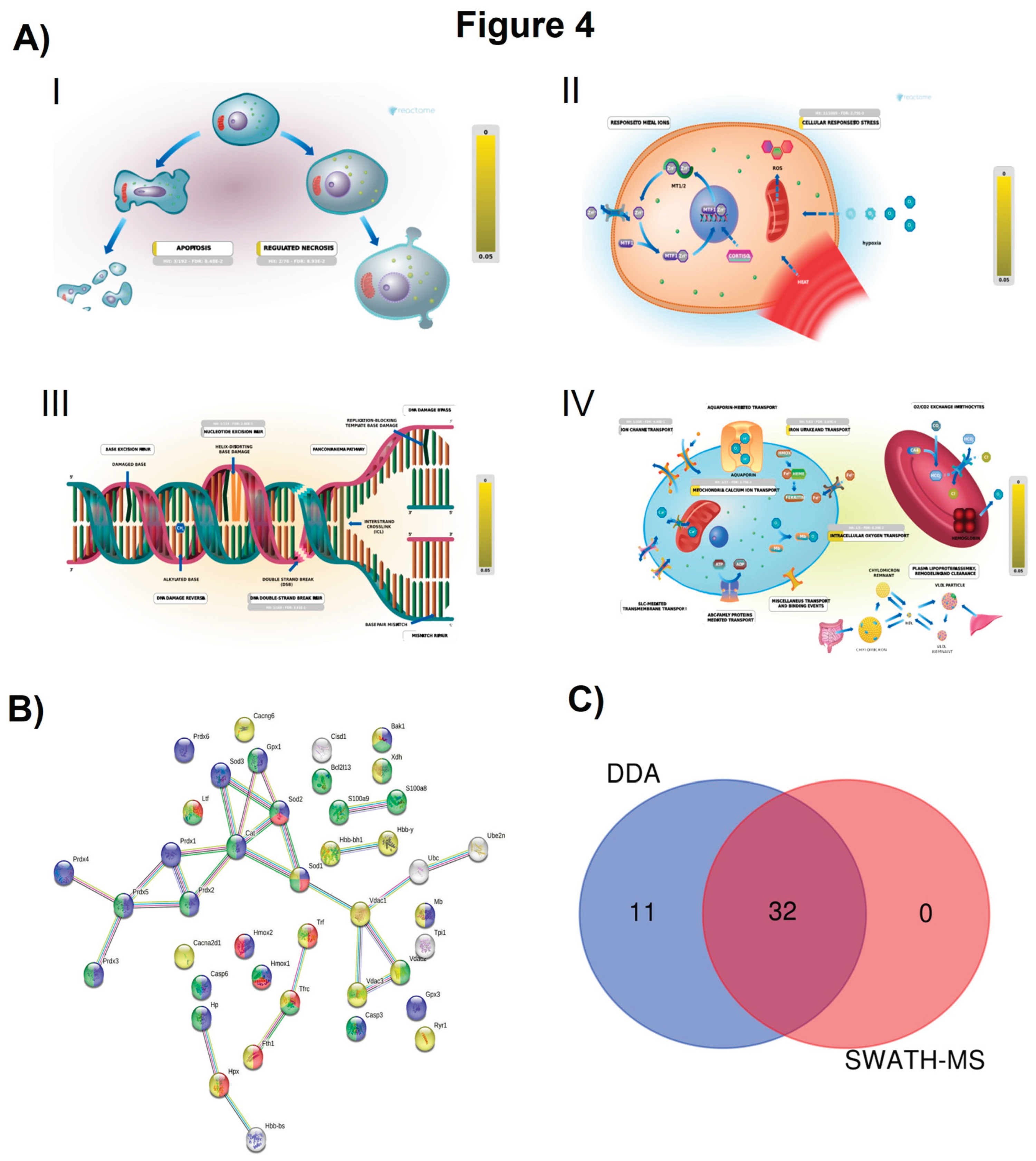 Preprints 97825 g004