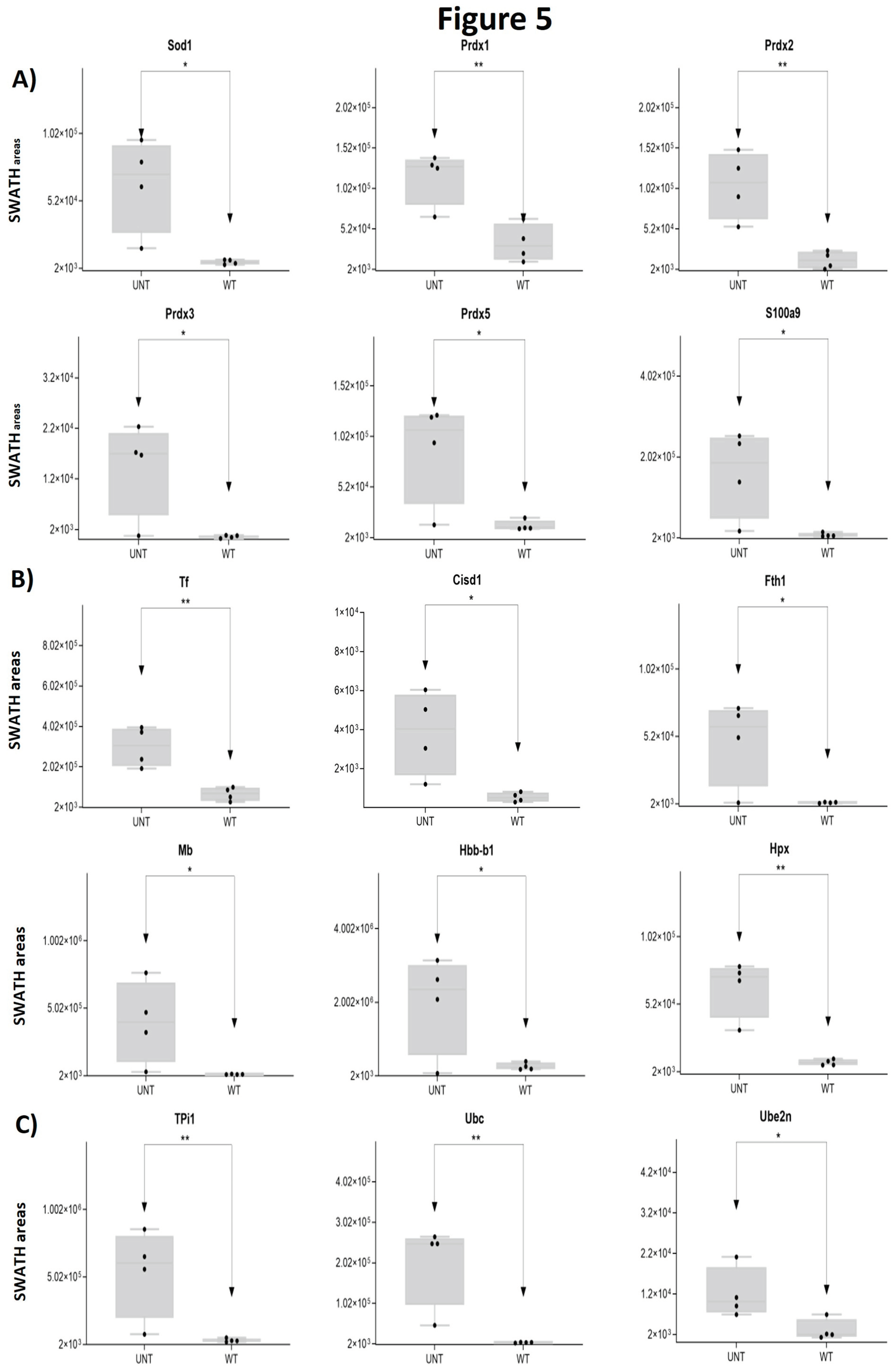 Preprints 97825 g005