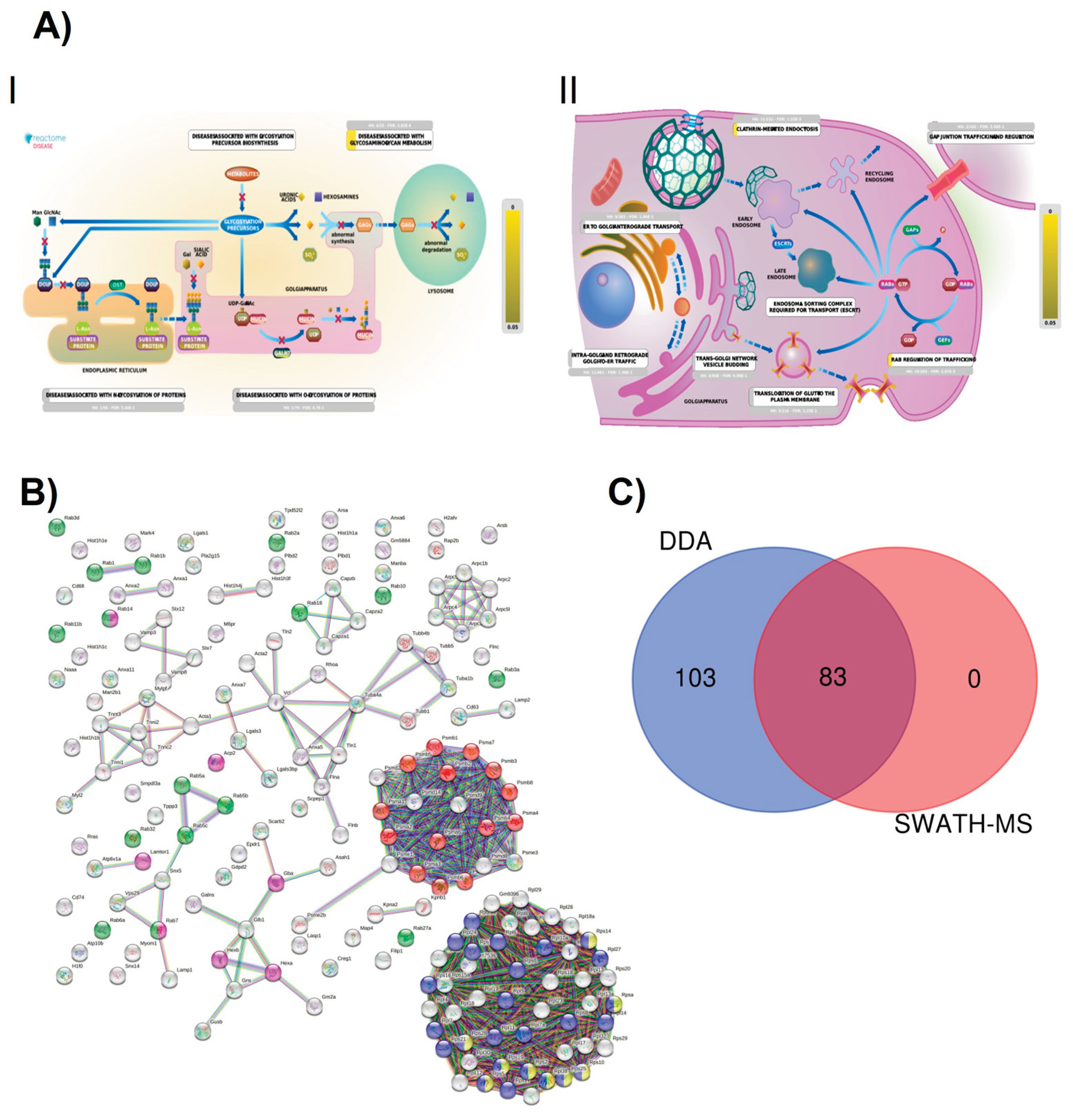 Preprints 97825 g006