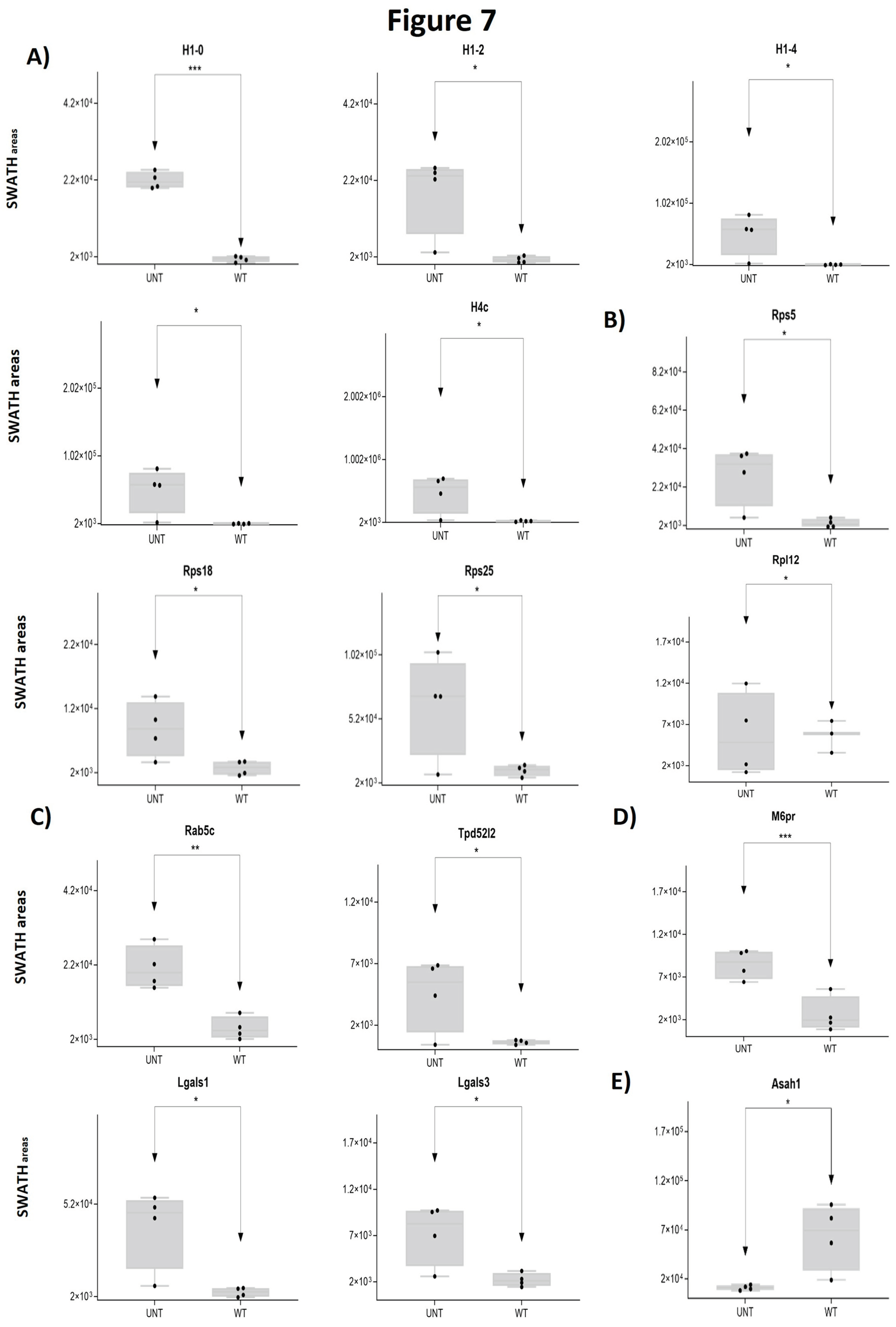 Preprints 97825 g007