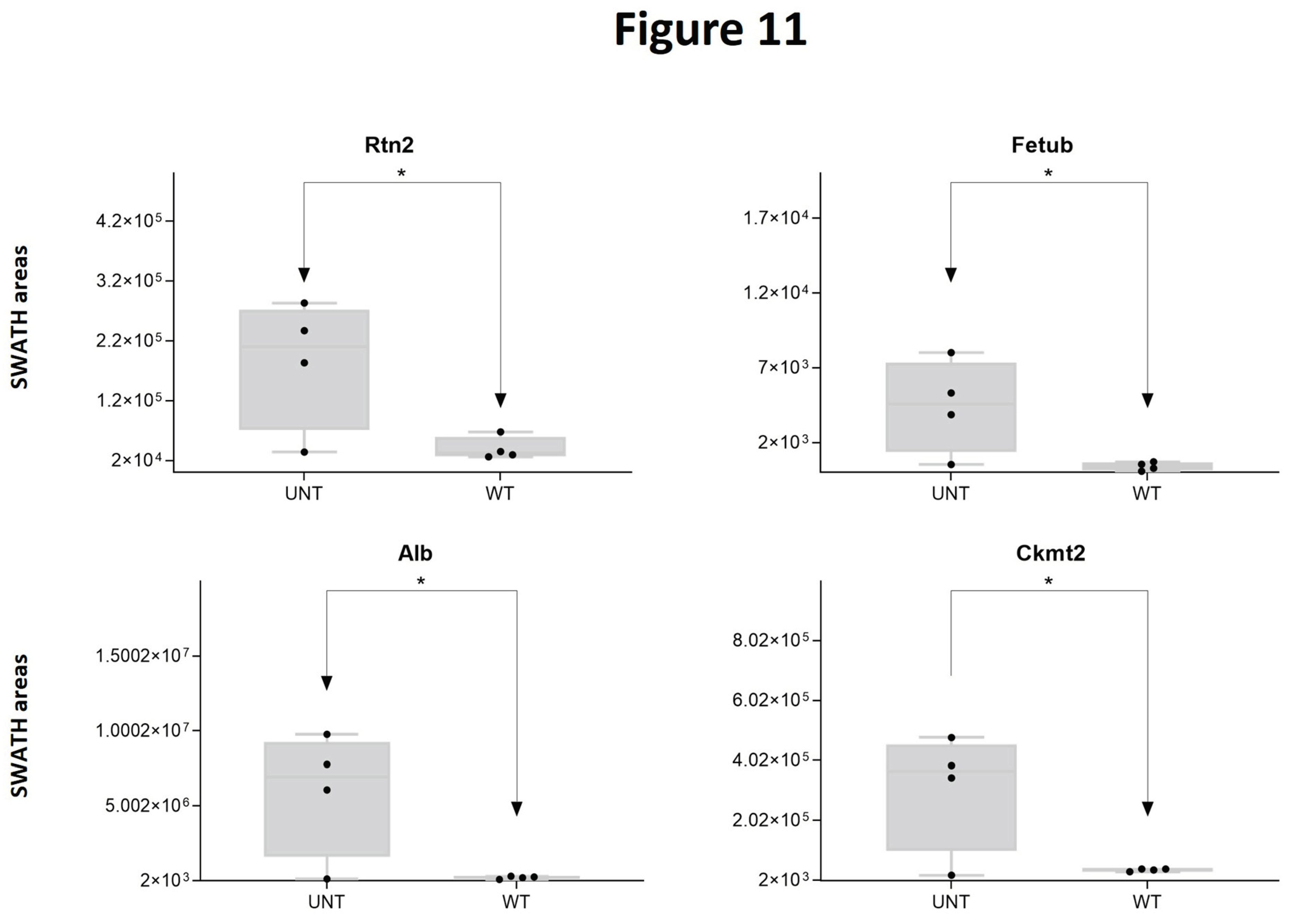 Preprints 97825 g011