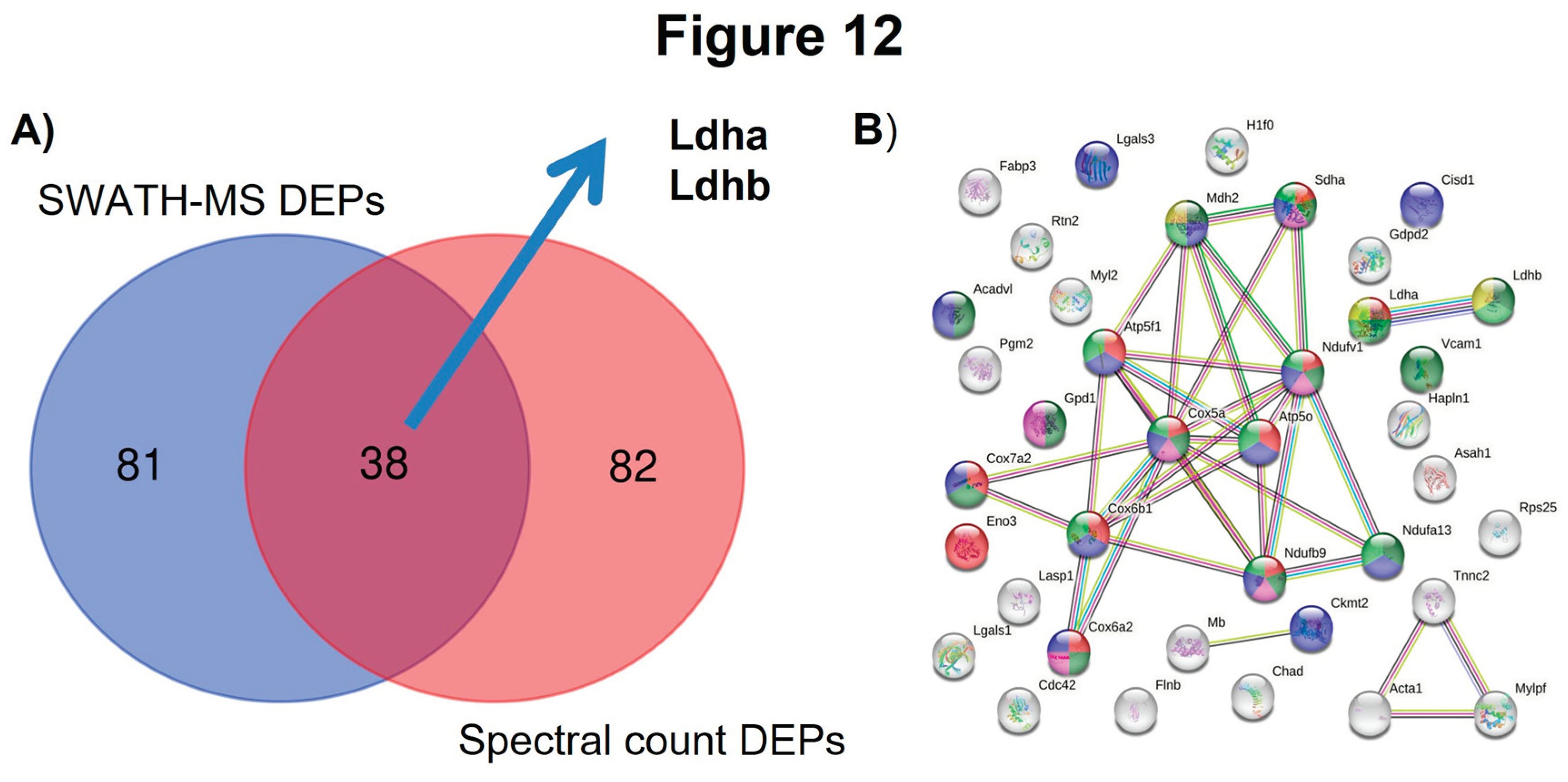 Preprints 97825 g012