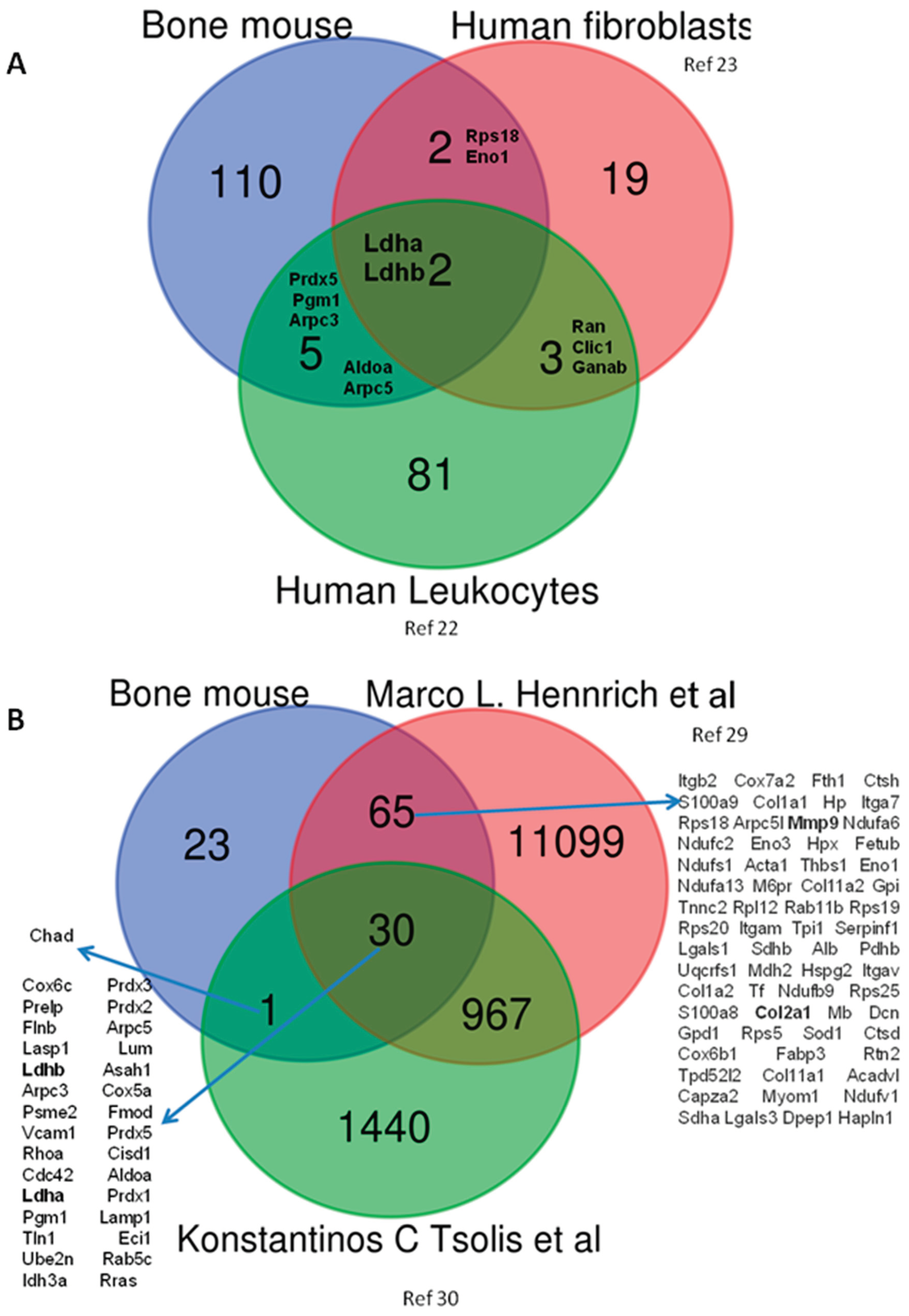 Preprints 97825 g013