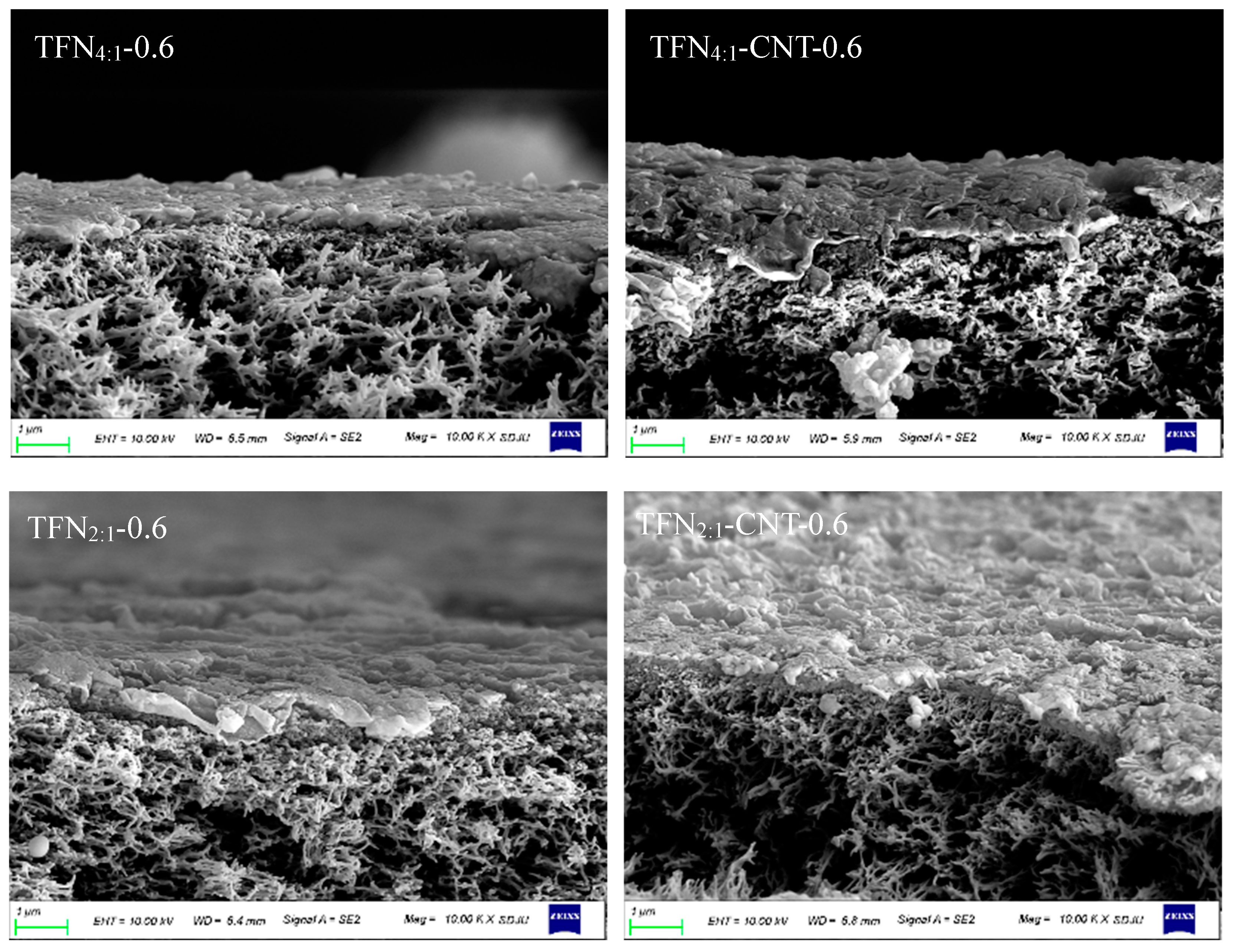 Preprints 95193 g004