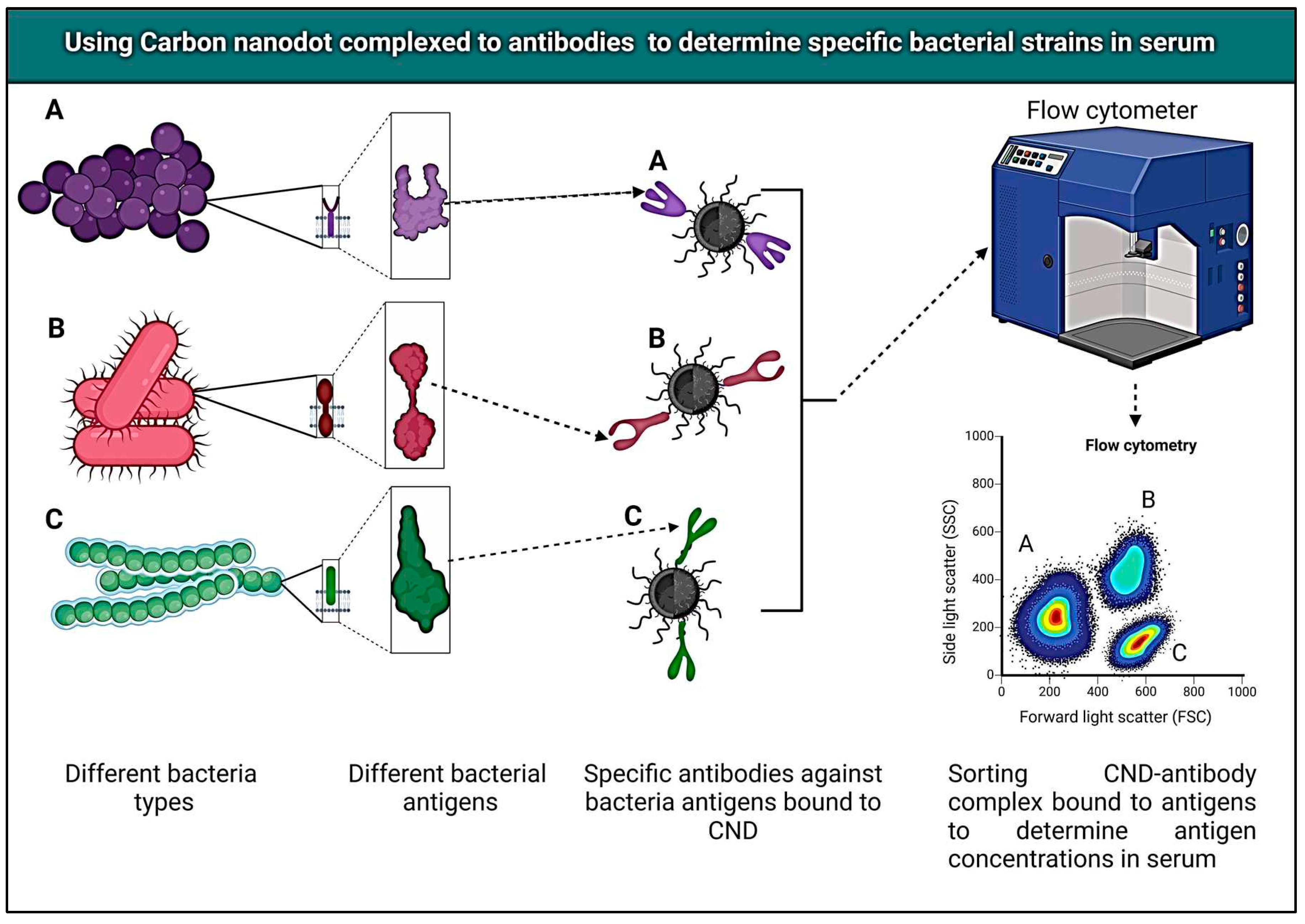 Preprints 88420 g001