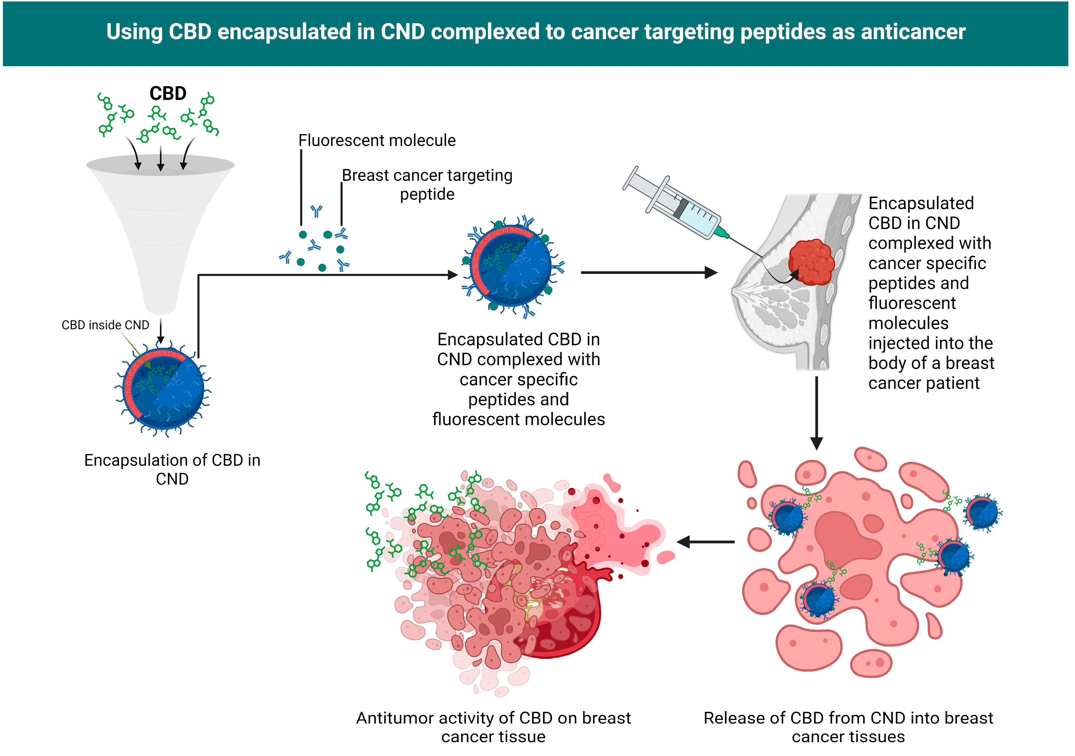 Preprints 88420 g003