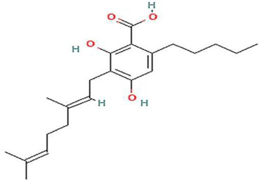 Preprints 88420 i008