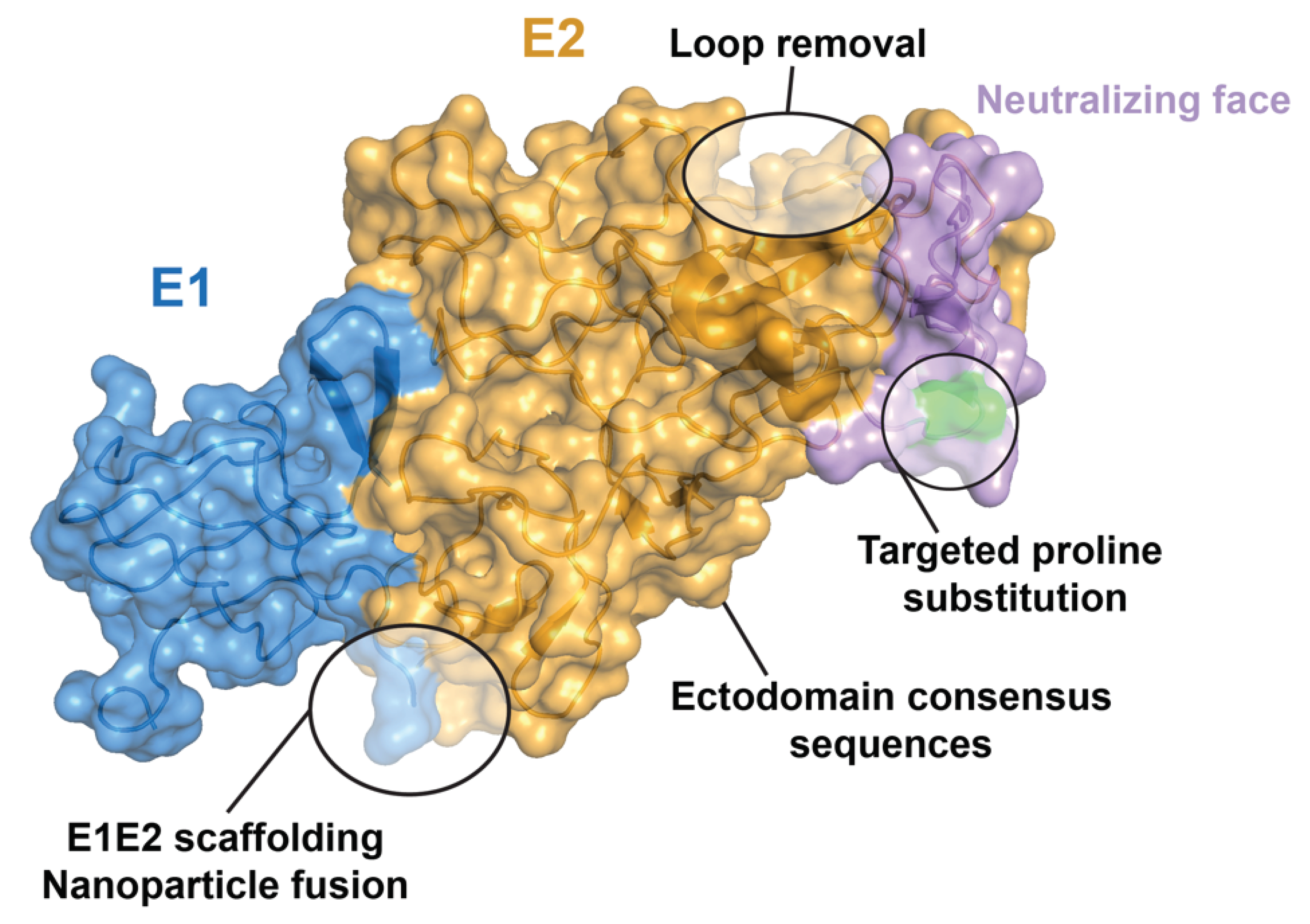 Preprints 102058 g004