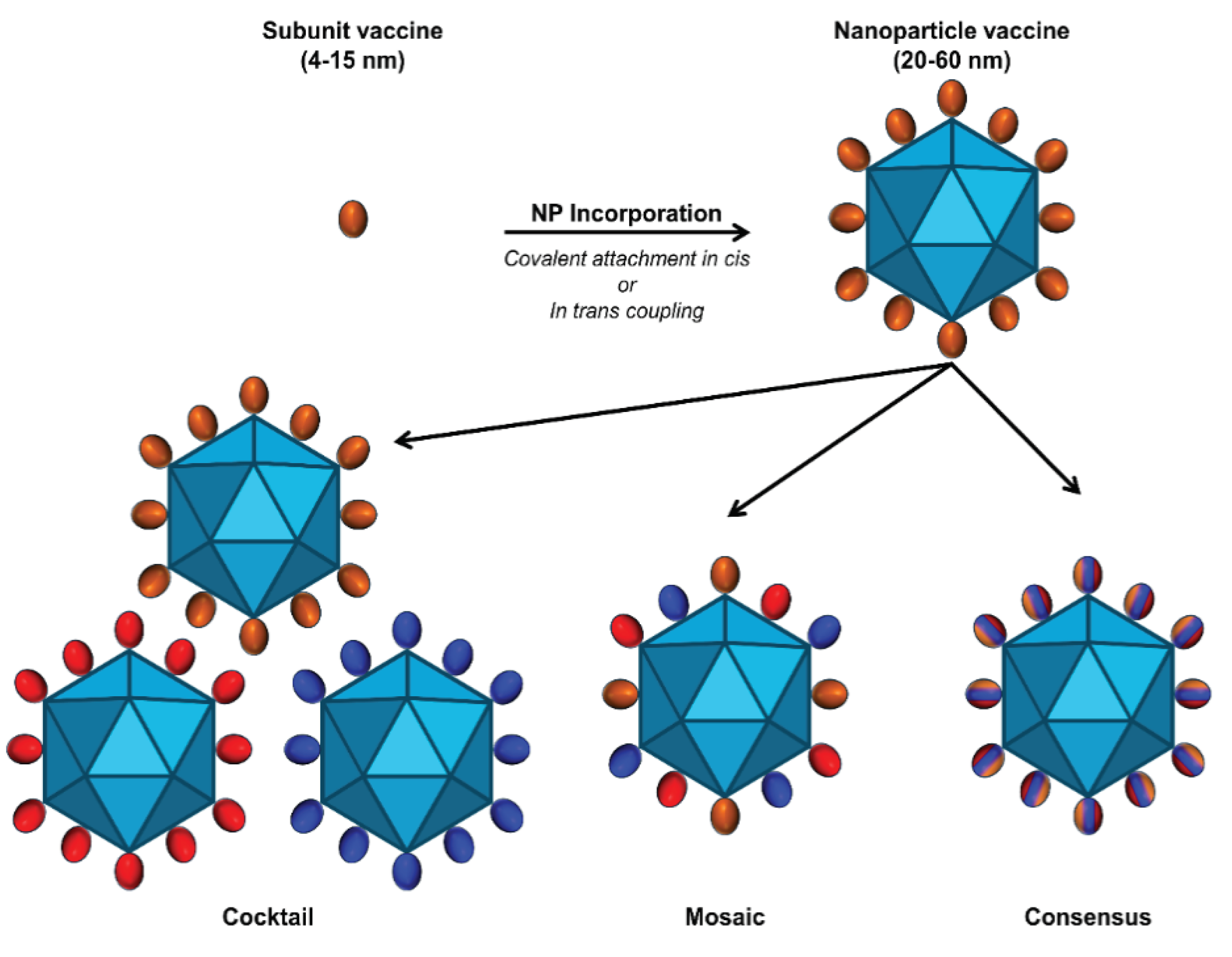 Preprints 102058 g005