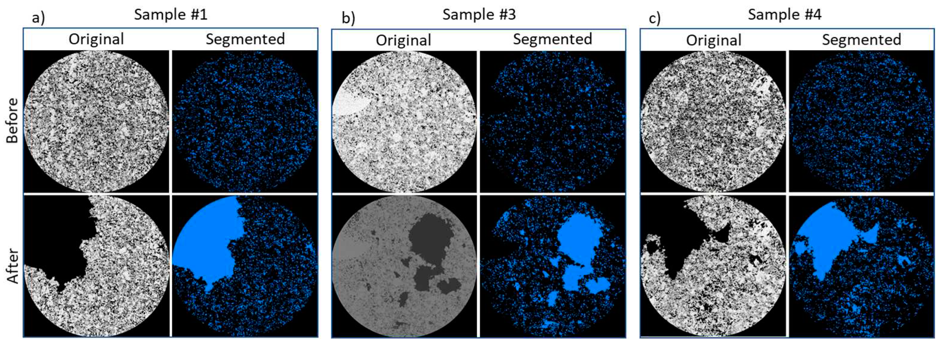 Preprints 91349 g006