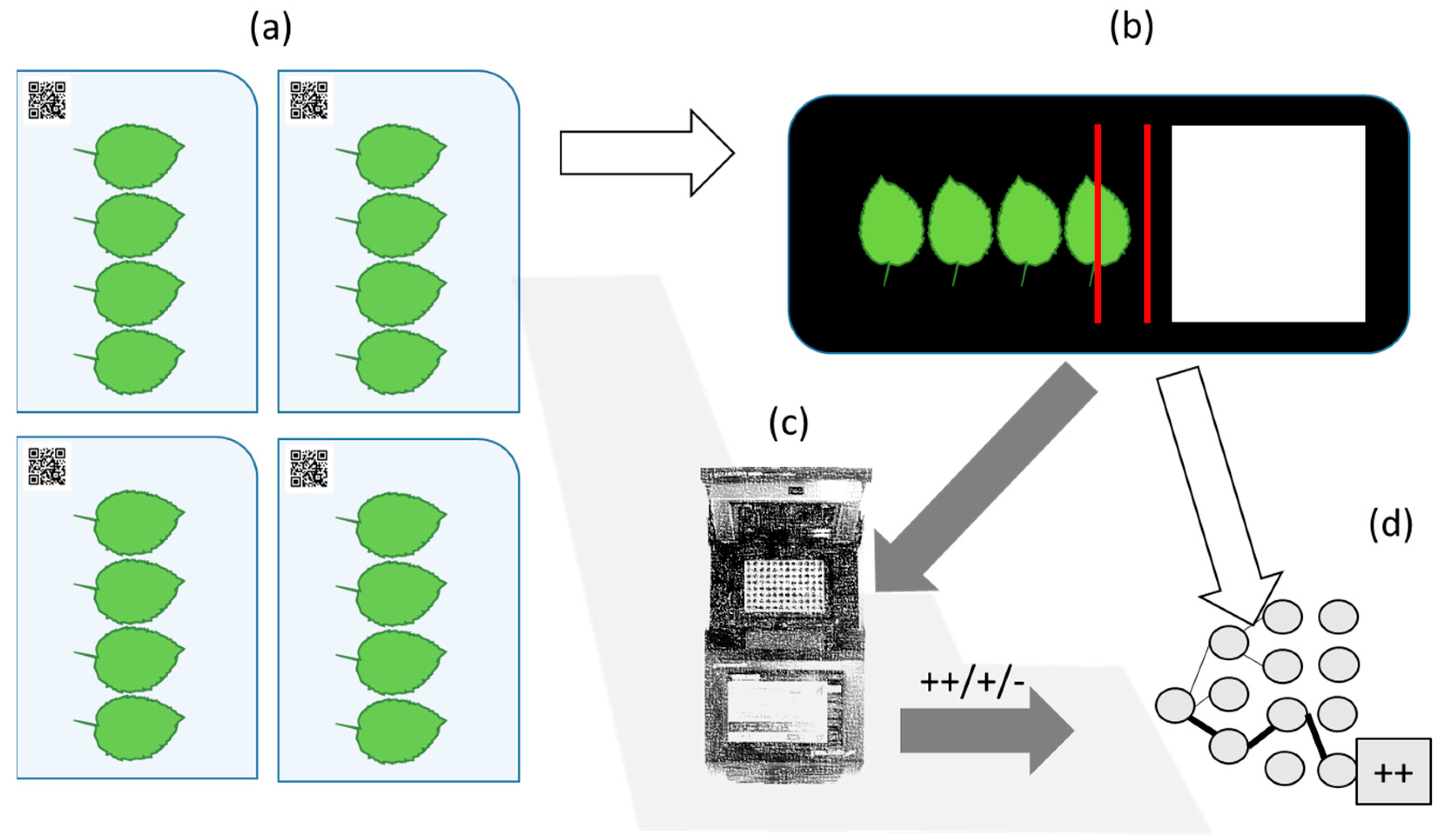 Preprints 119291 g001