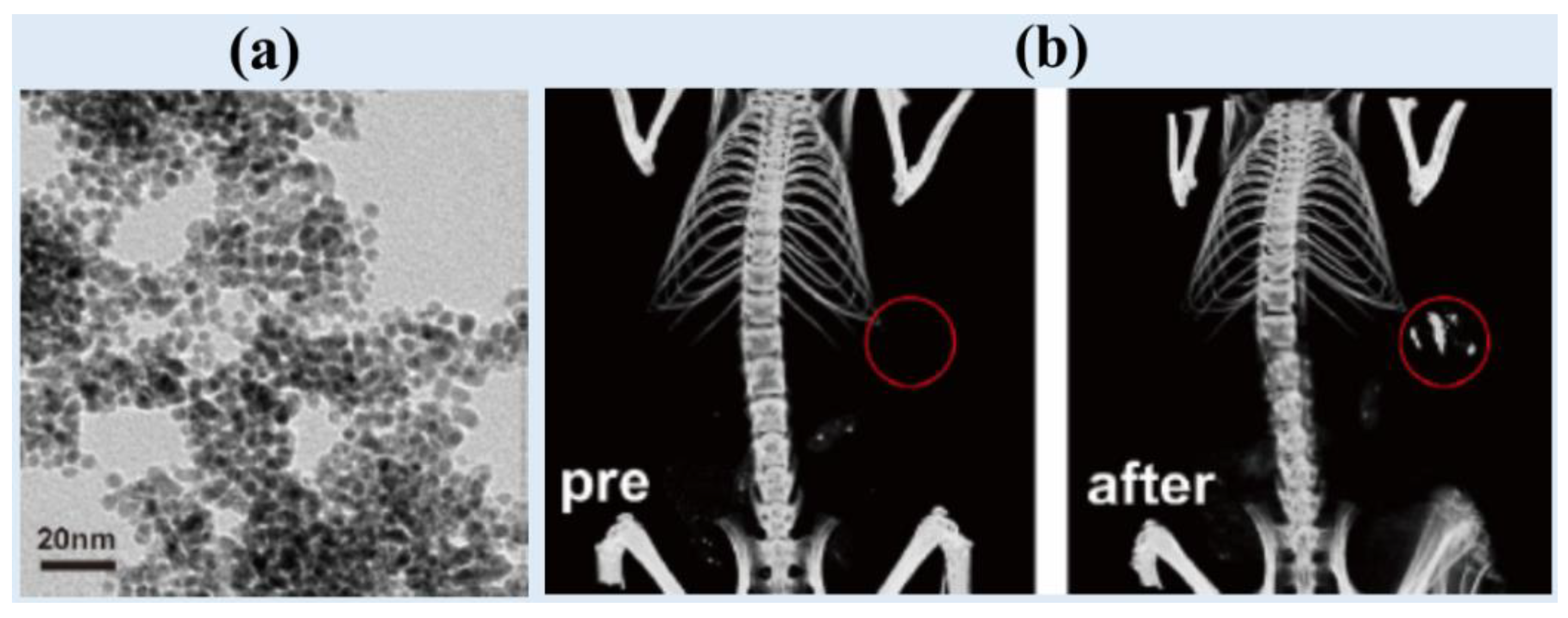 Preprints 83003 g002