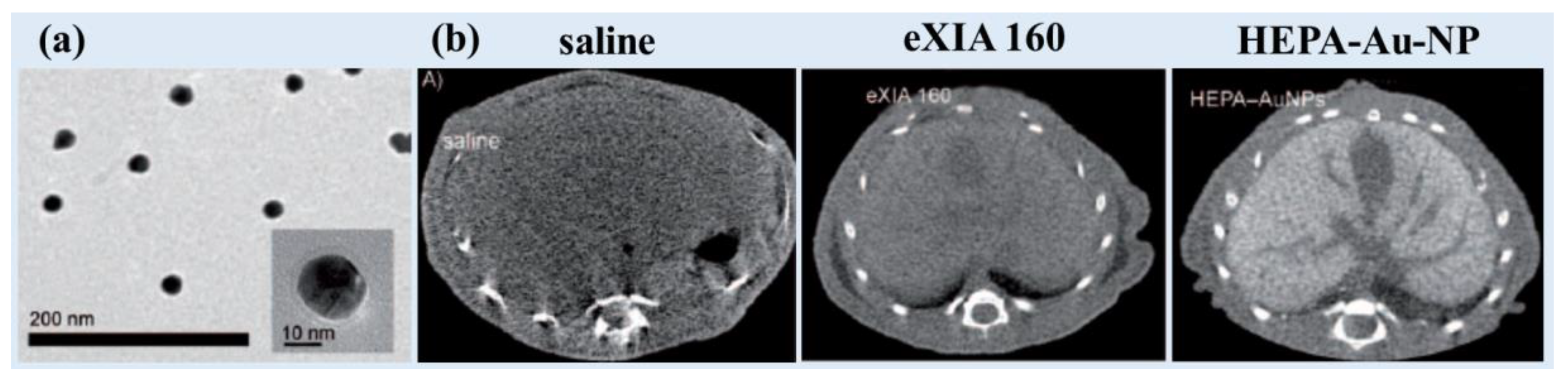 Preprints 83003 g005