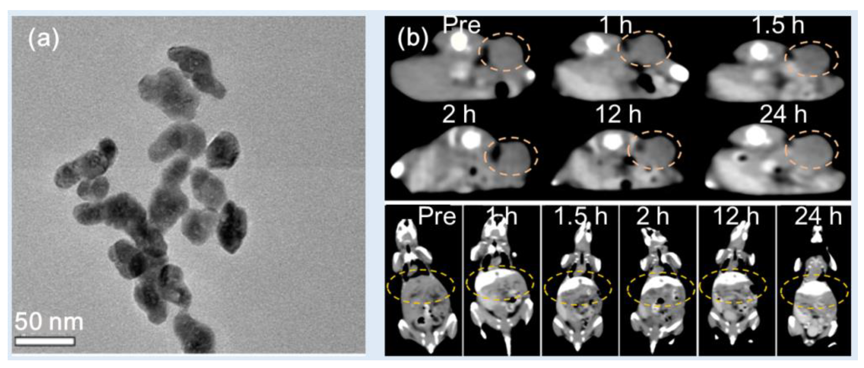 Preprints 83003 g008