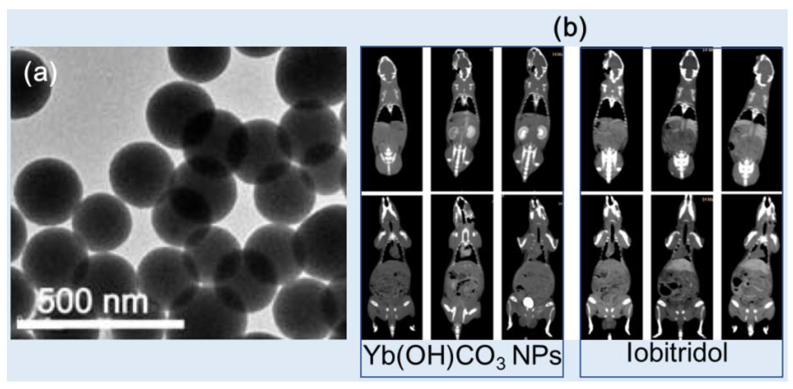 Preprints 83003 g009