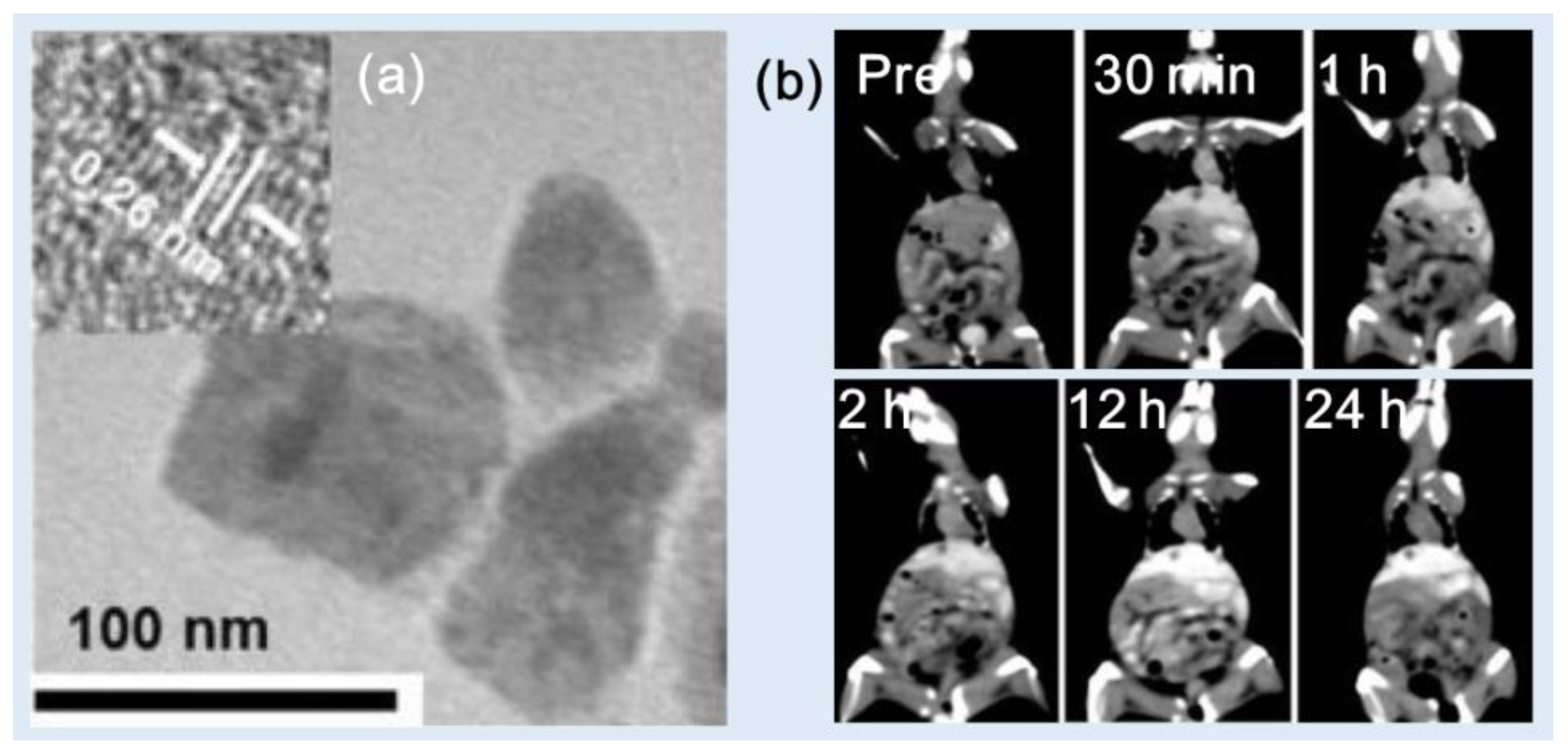 Preprints 83003 g010