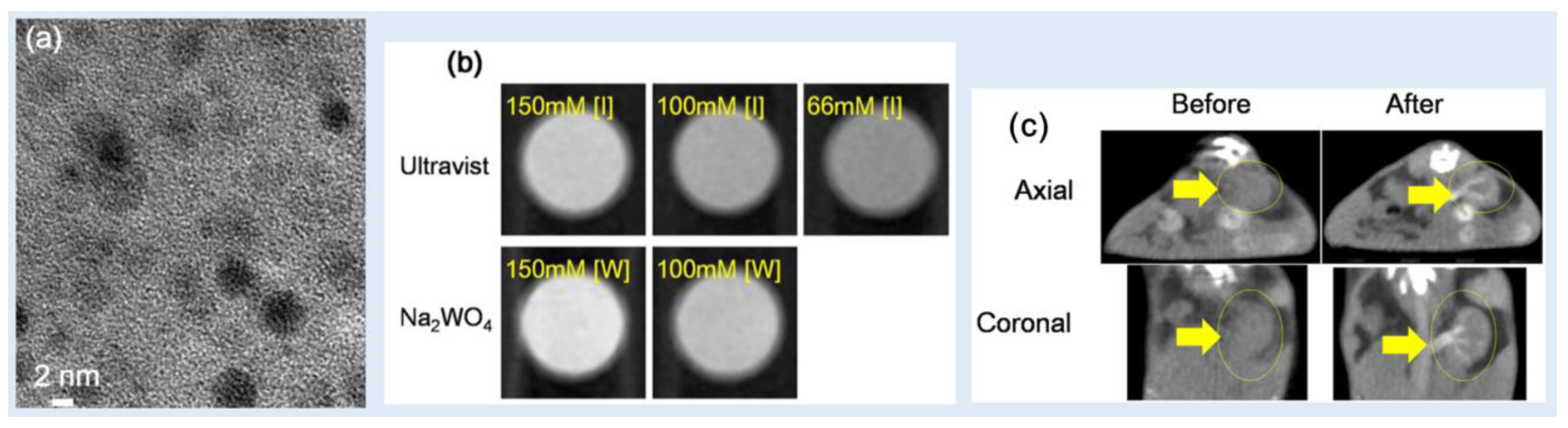 Preprints 83003 g011