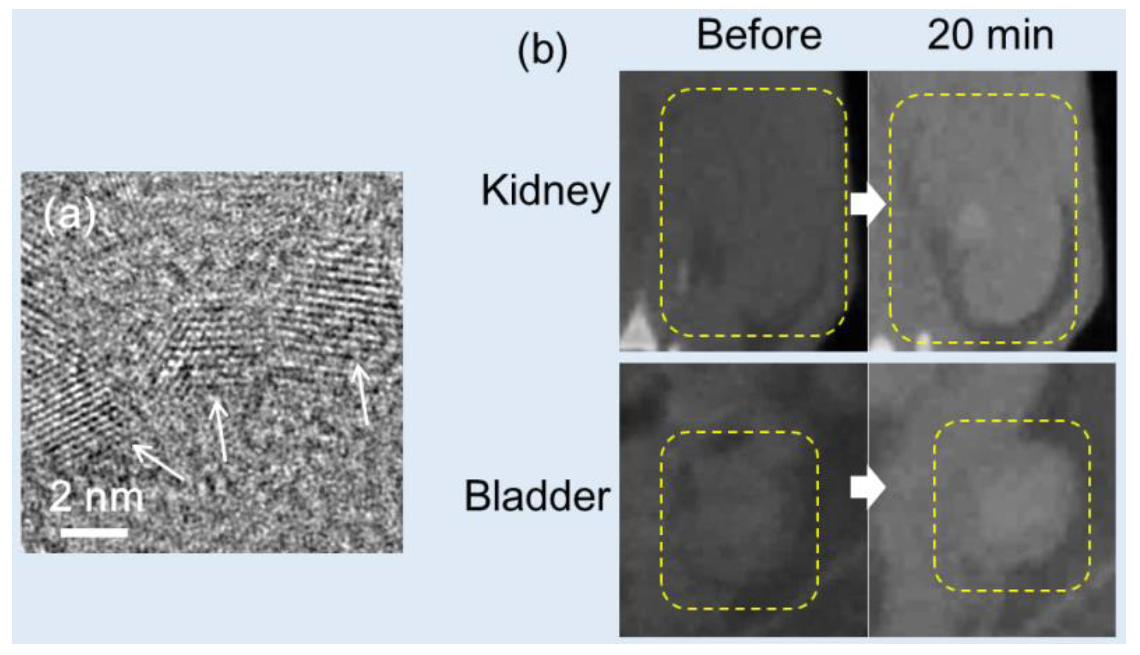 Preprints 83003 g012