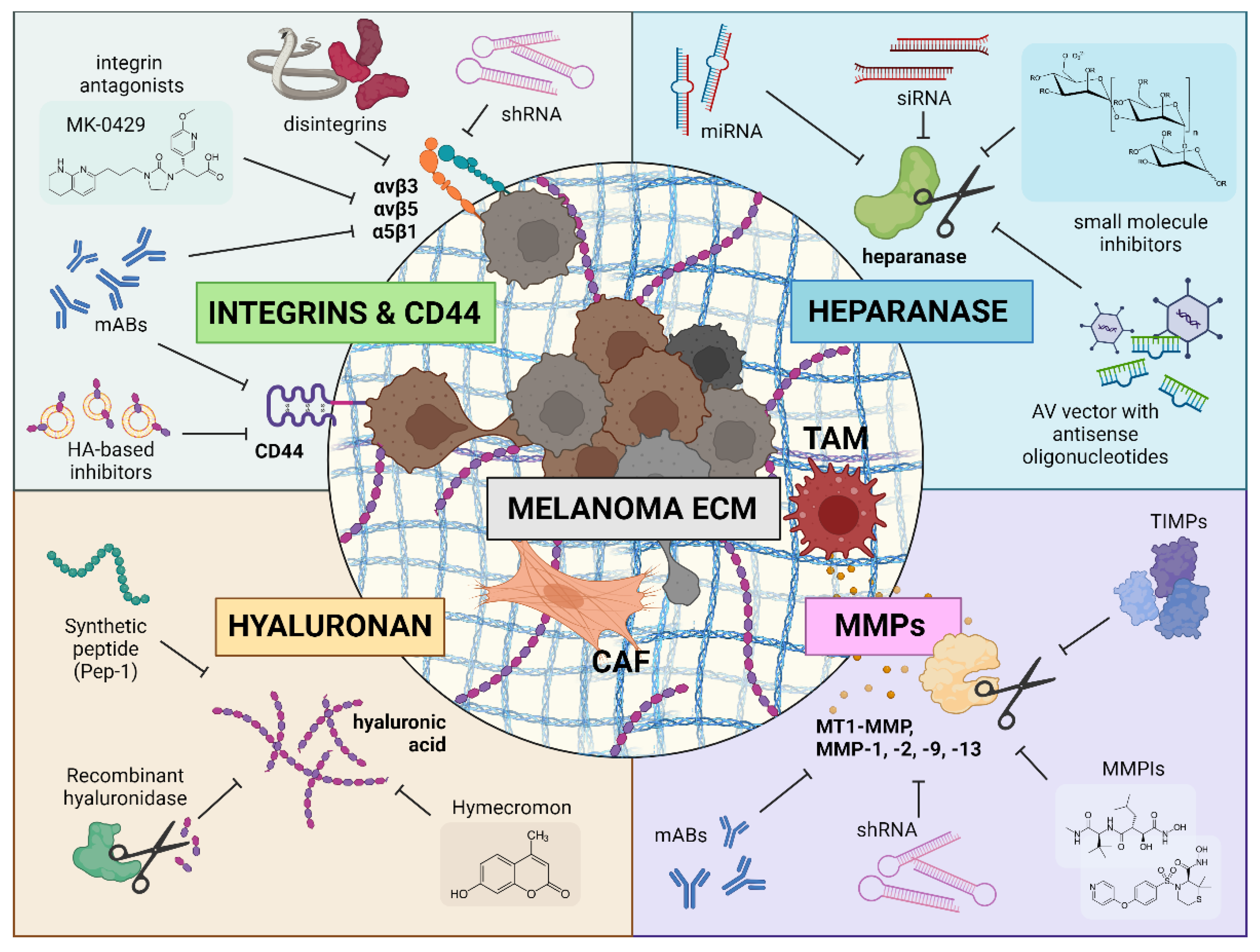 Preprints 121545 g001