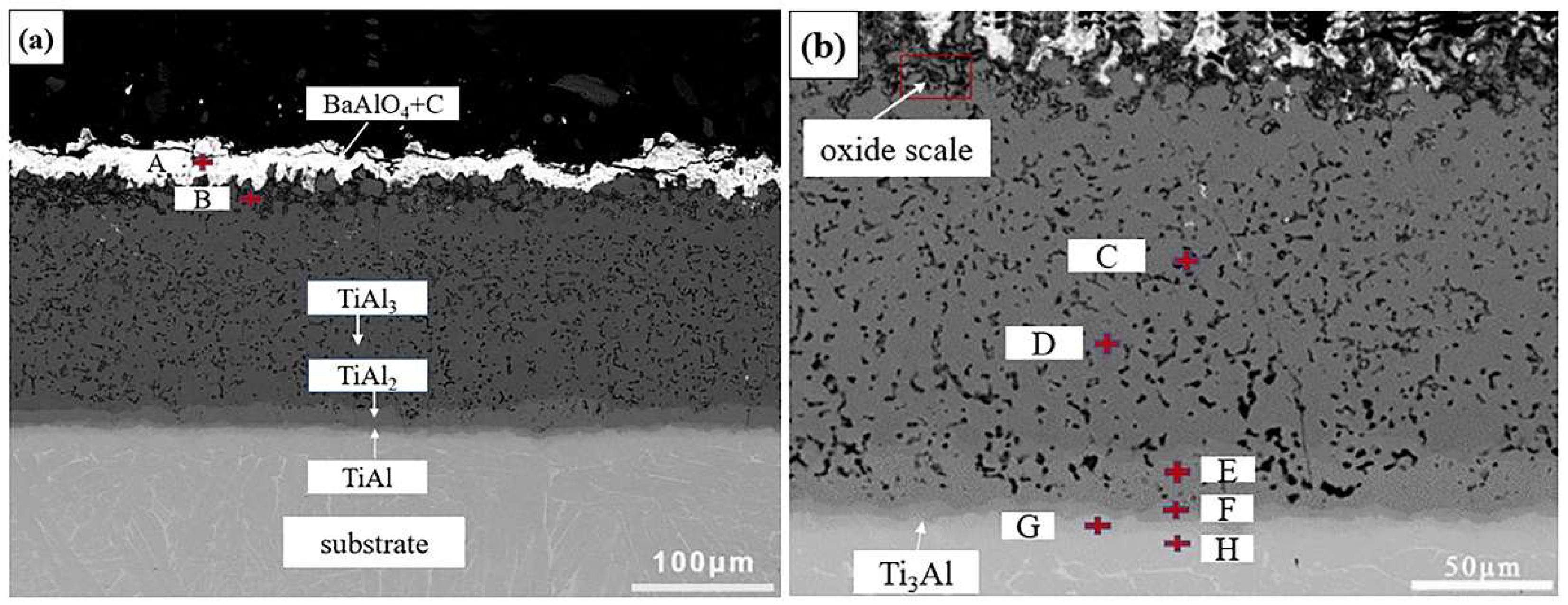 Preprints 76975 g001