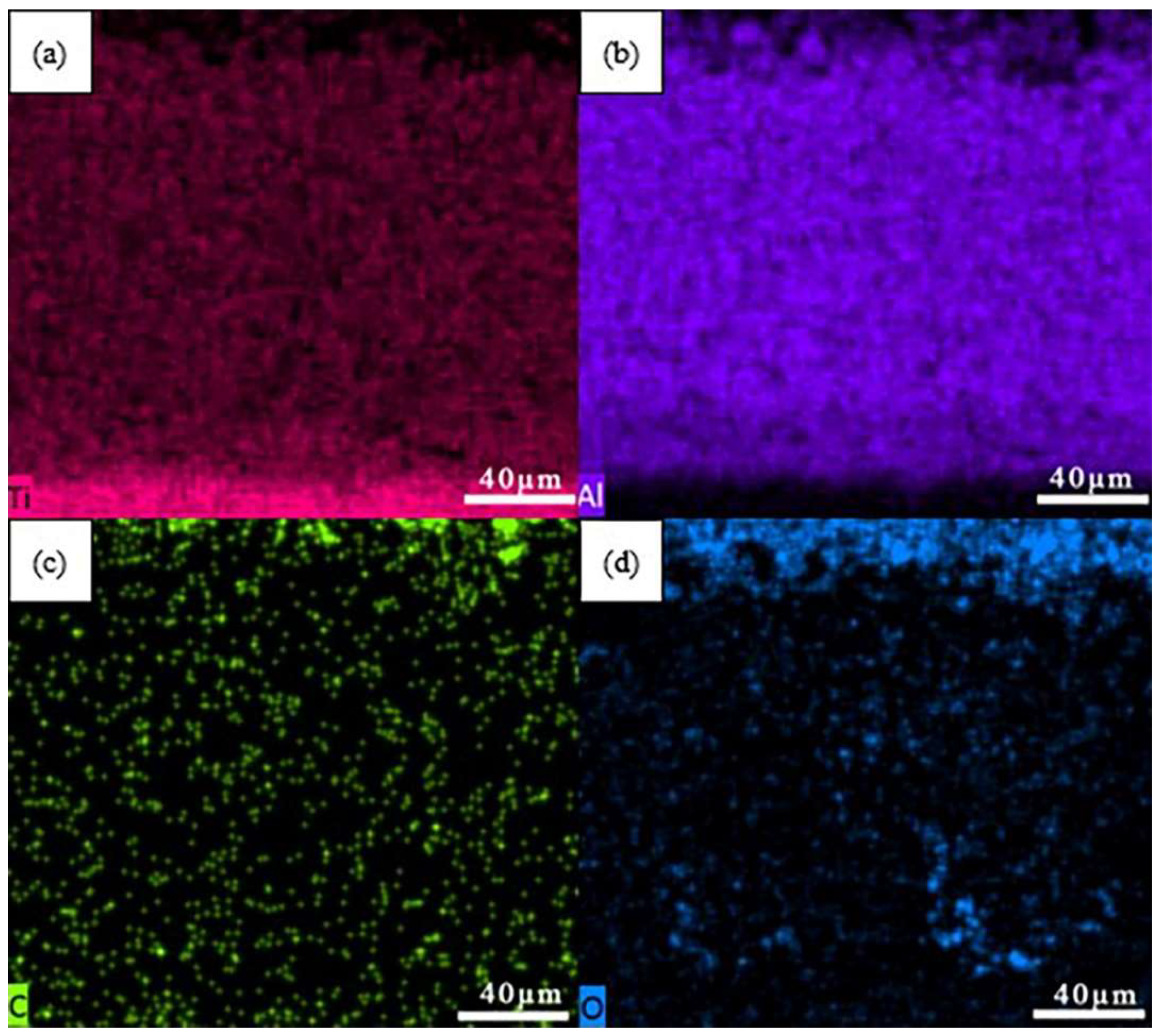 Preprints 76975 g002