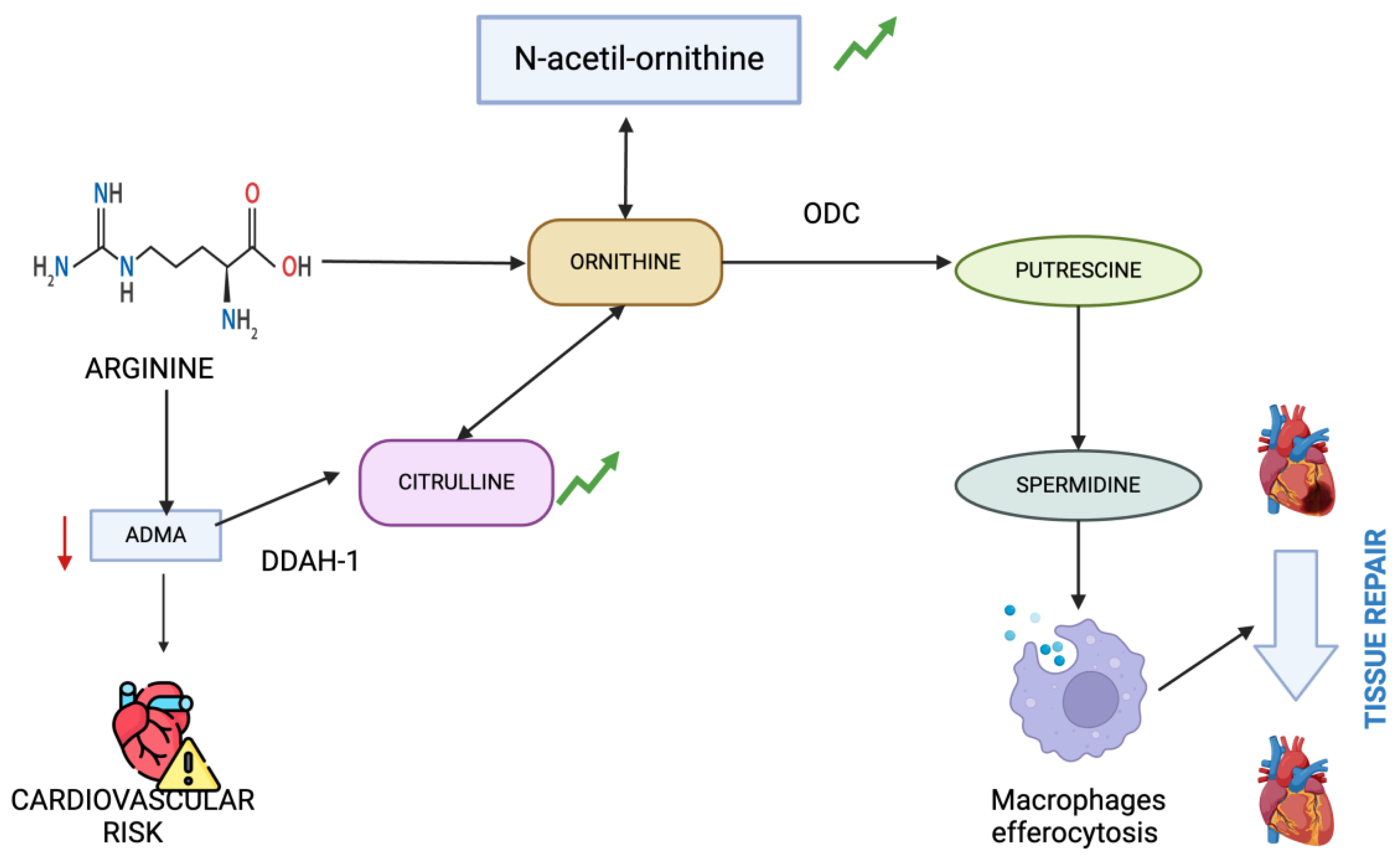 Preprints 113245 g005