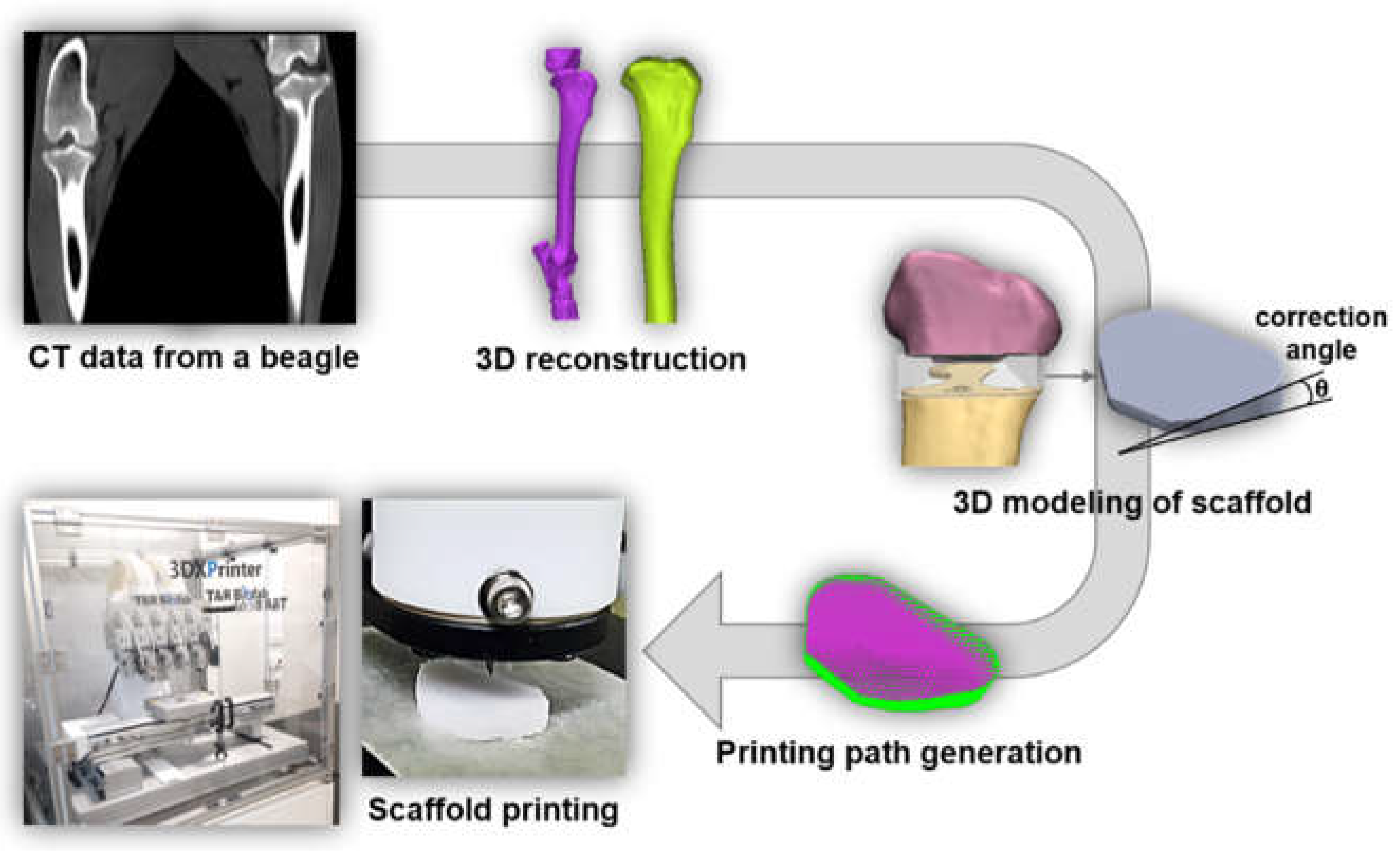 Preprints 113745 g001