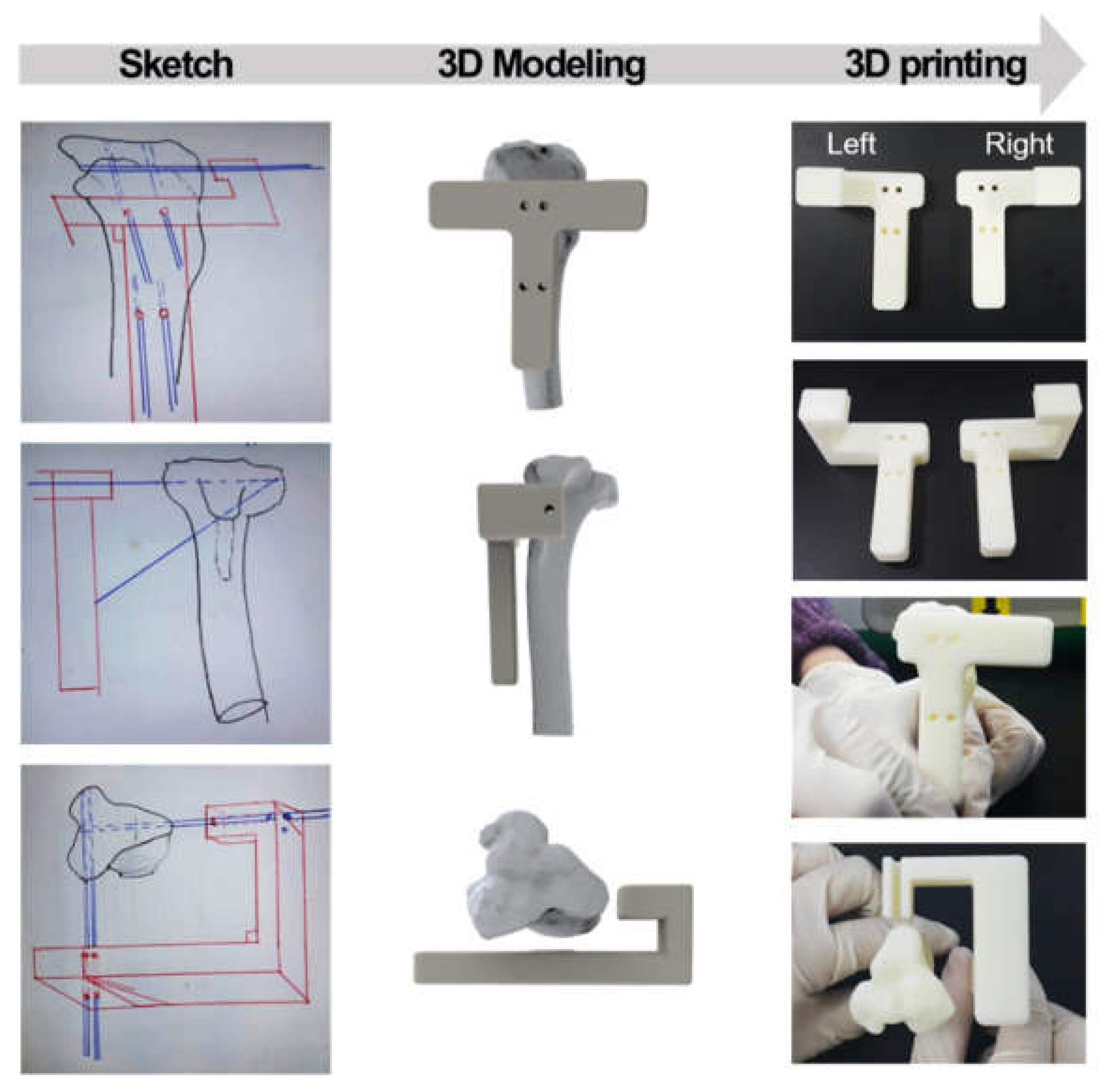 Preprints 113745 g002