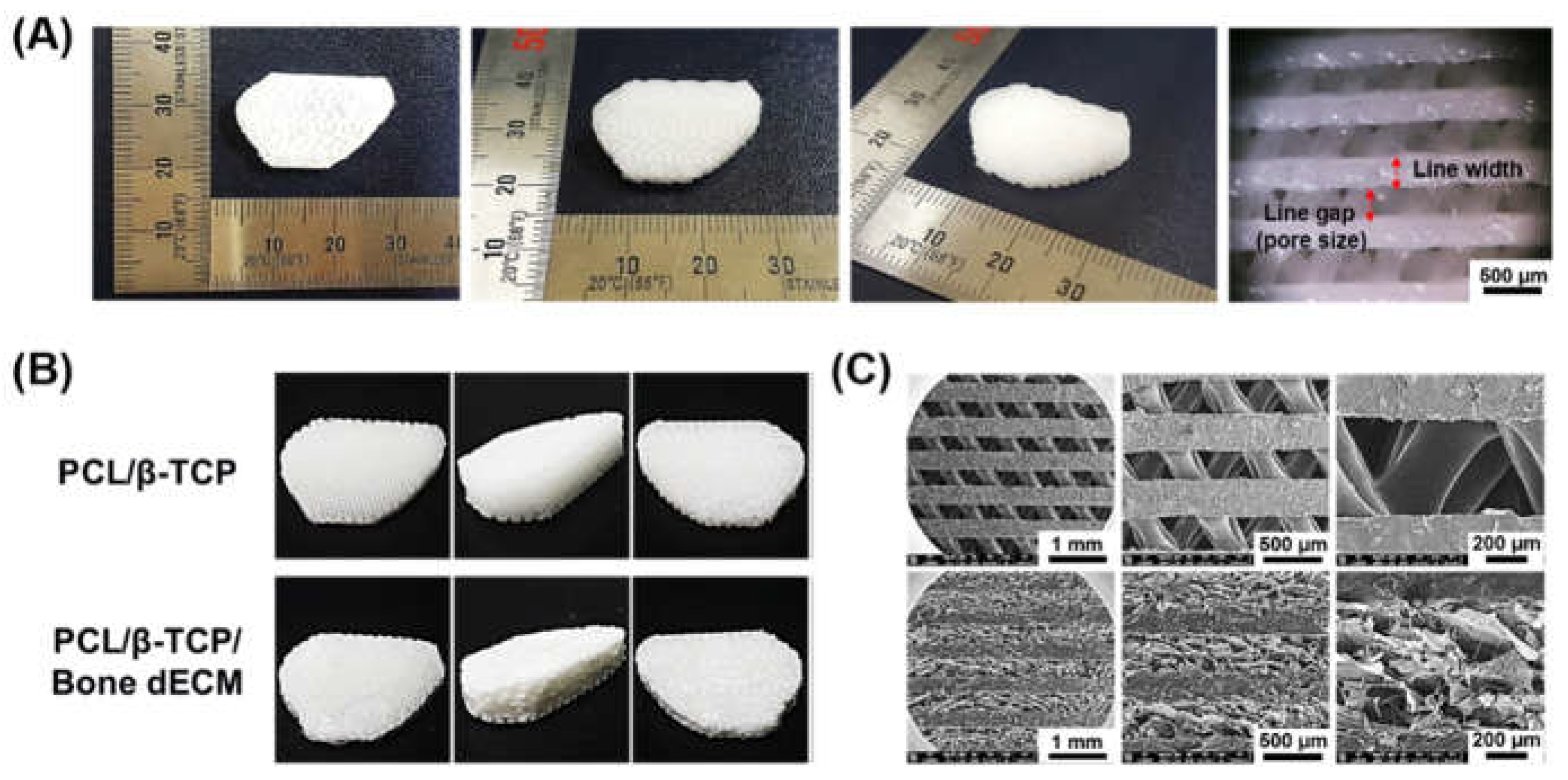 Preprints 113745 g003