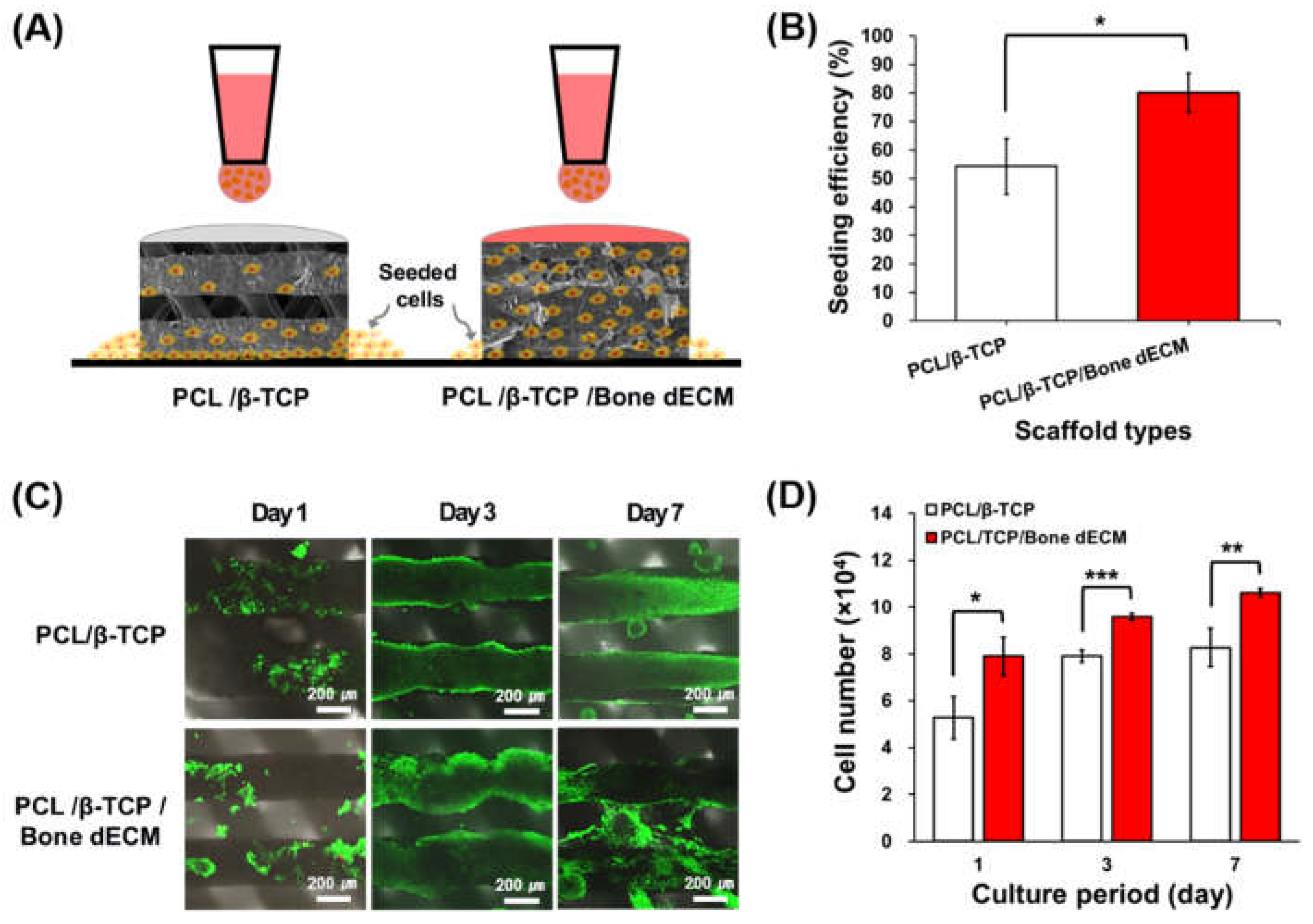 Preprints 113745 g004