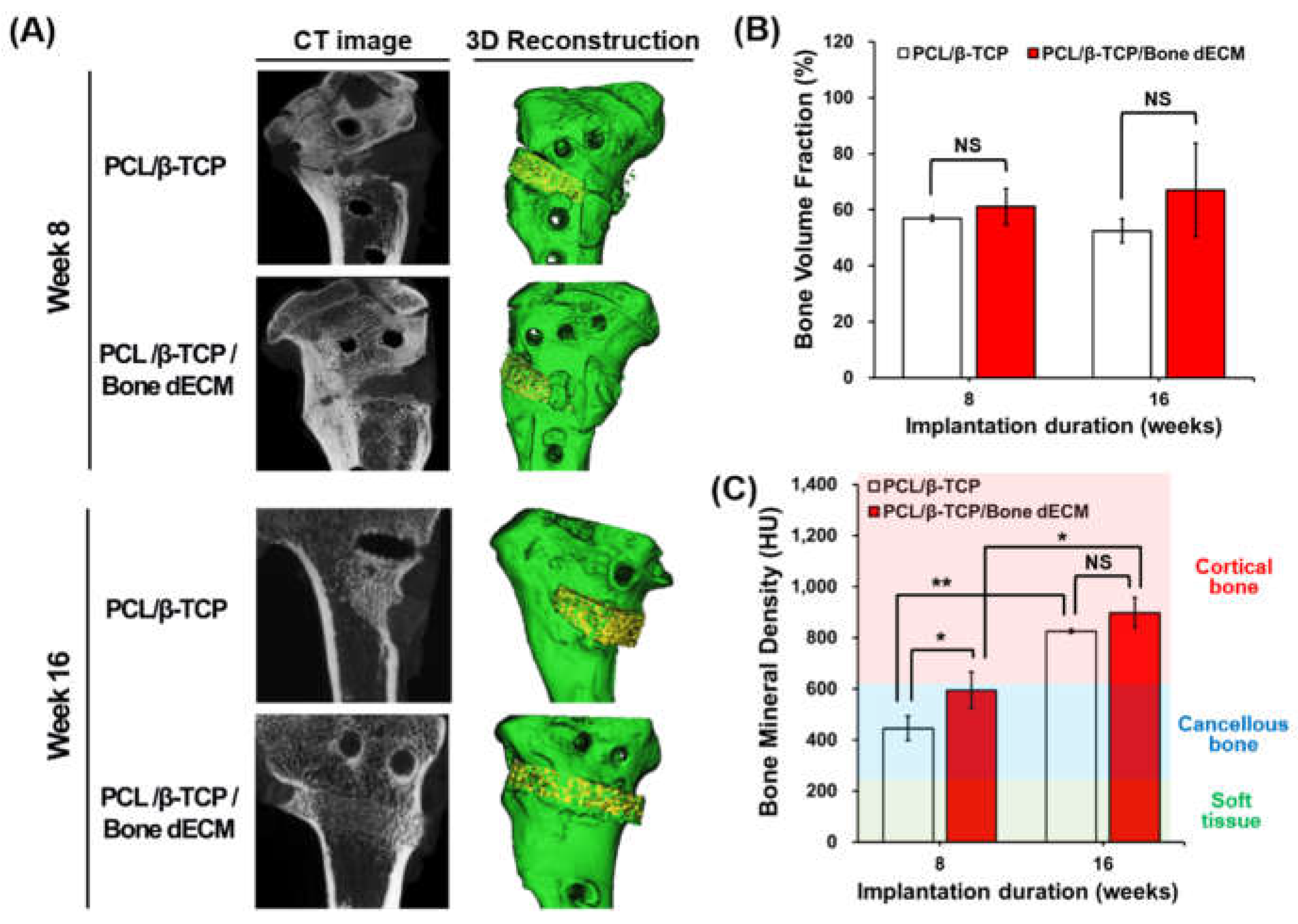 Preprints 113745 g006