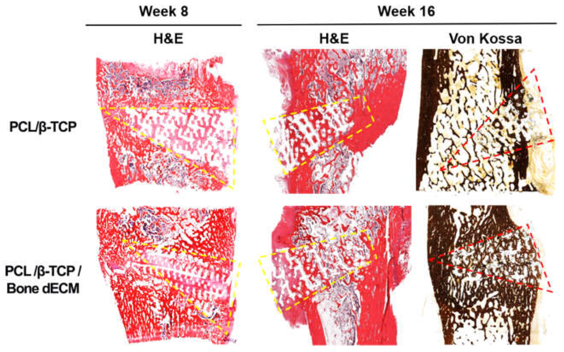 Preprints 113745 g007