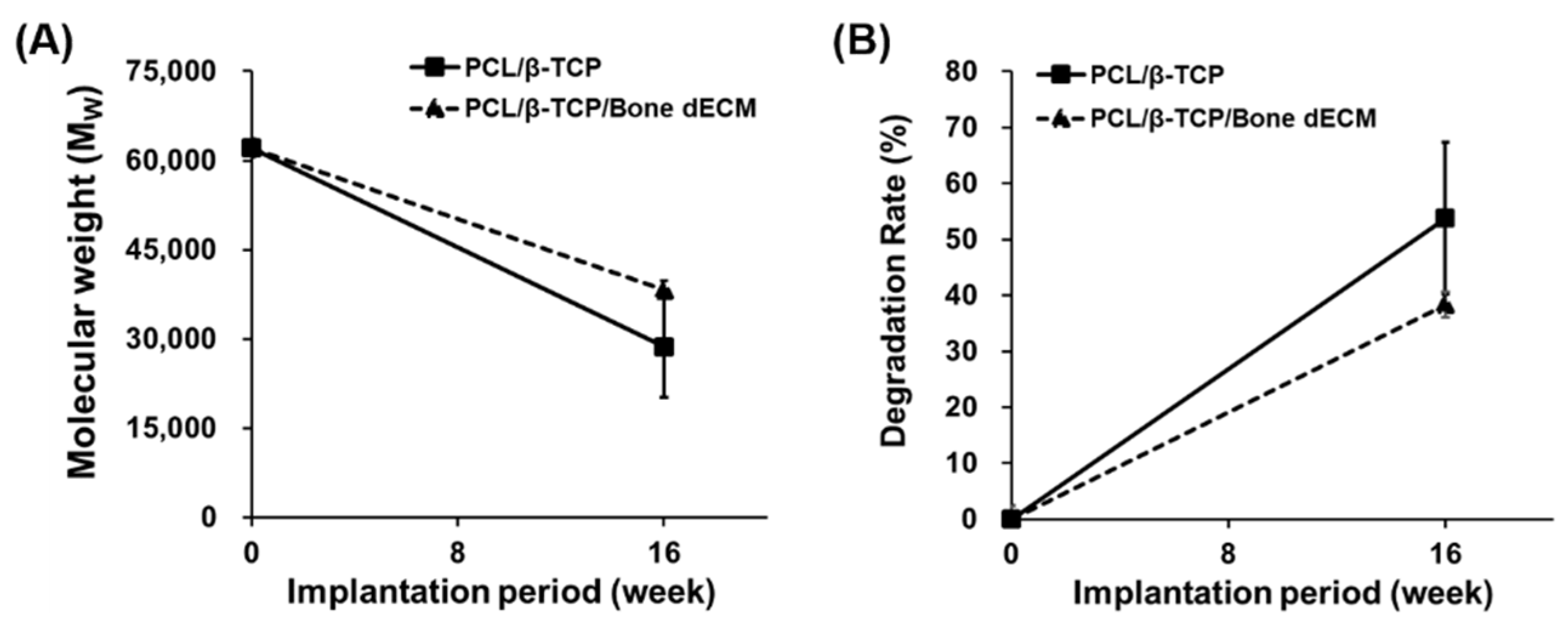 Preprints 113745 g008