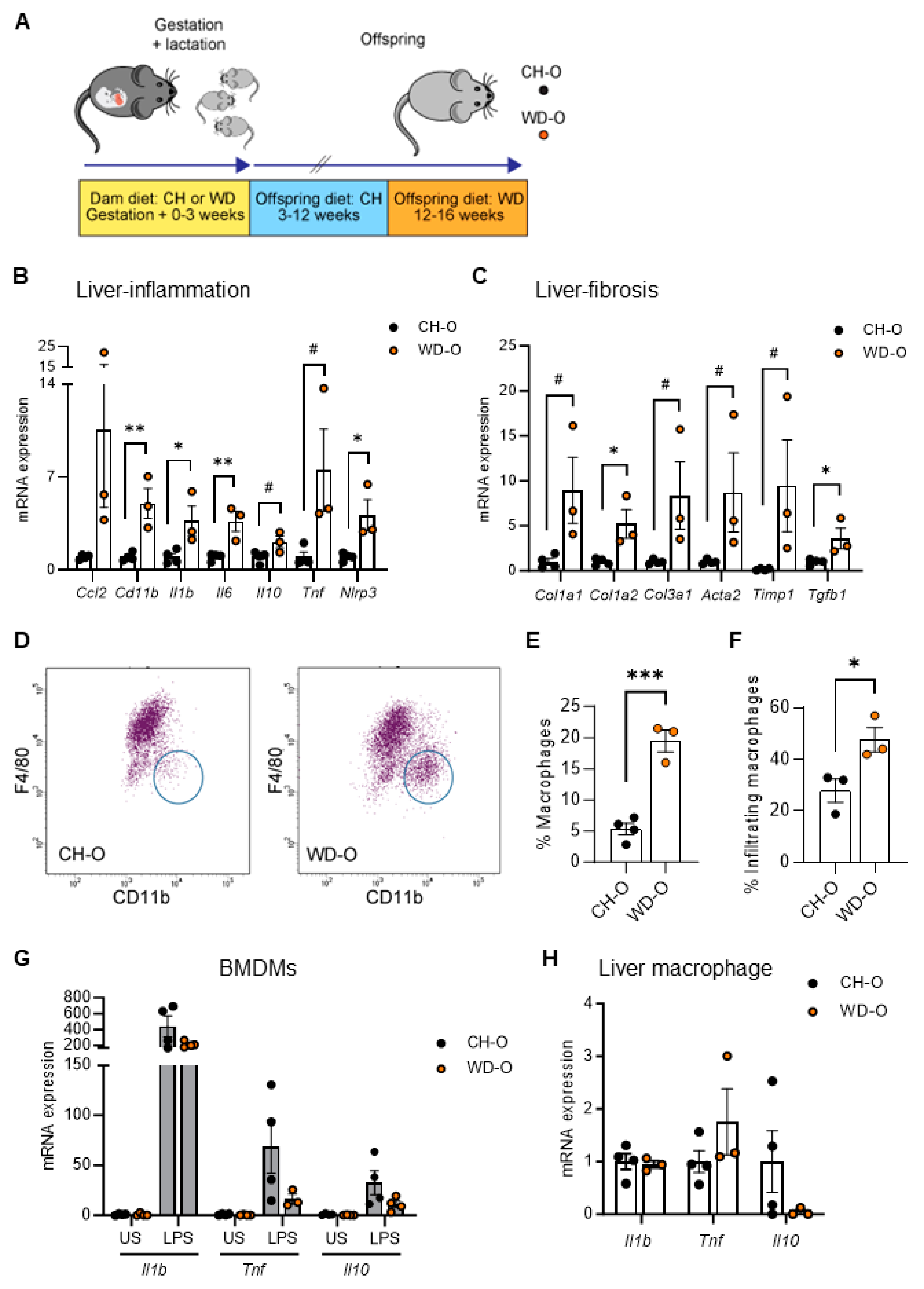 Preprints 106222 g001