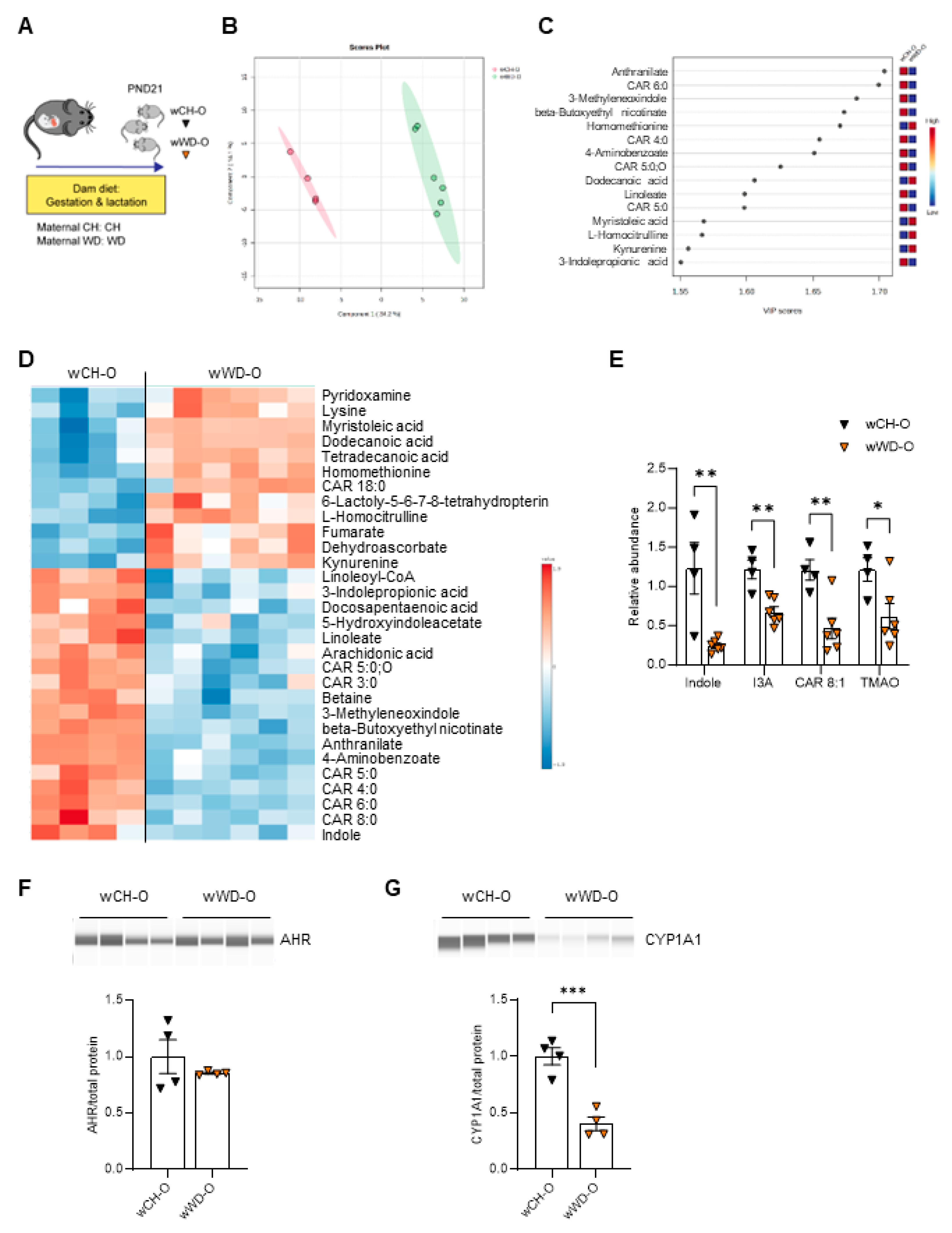 Preprints 106222 g002