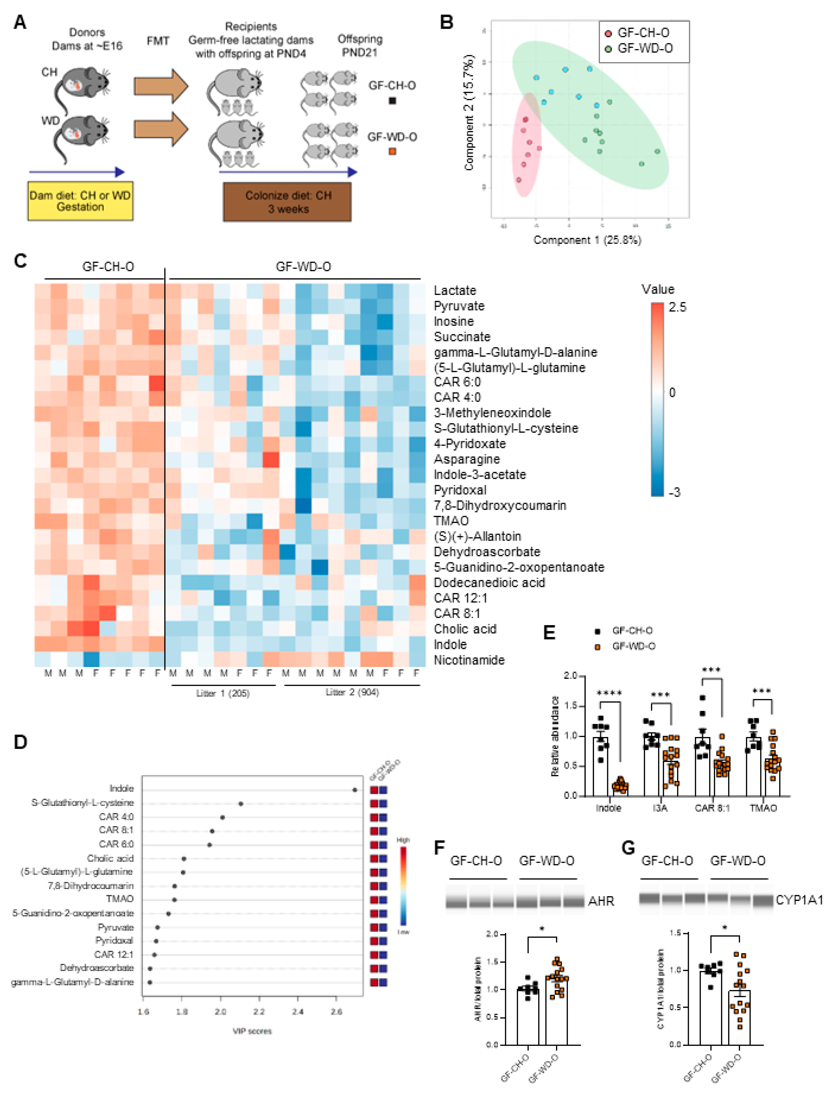 Preprints 106222 g003