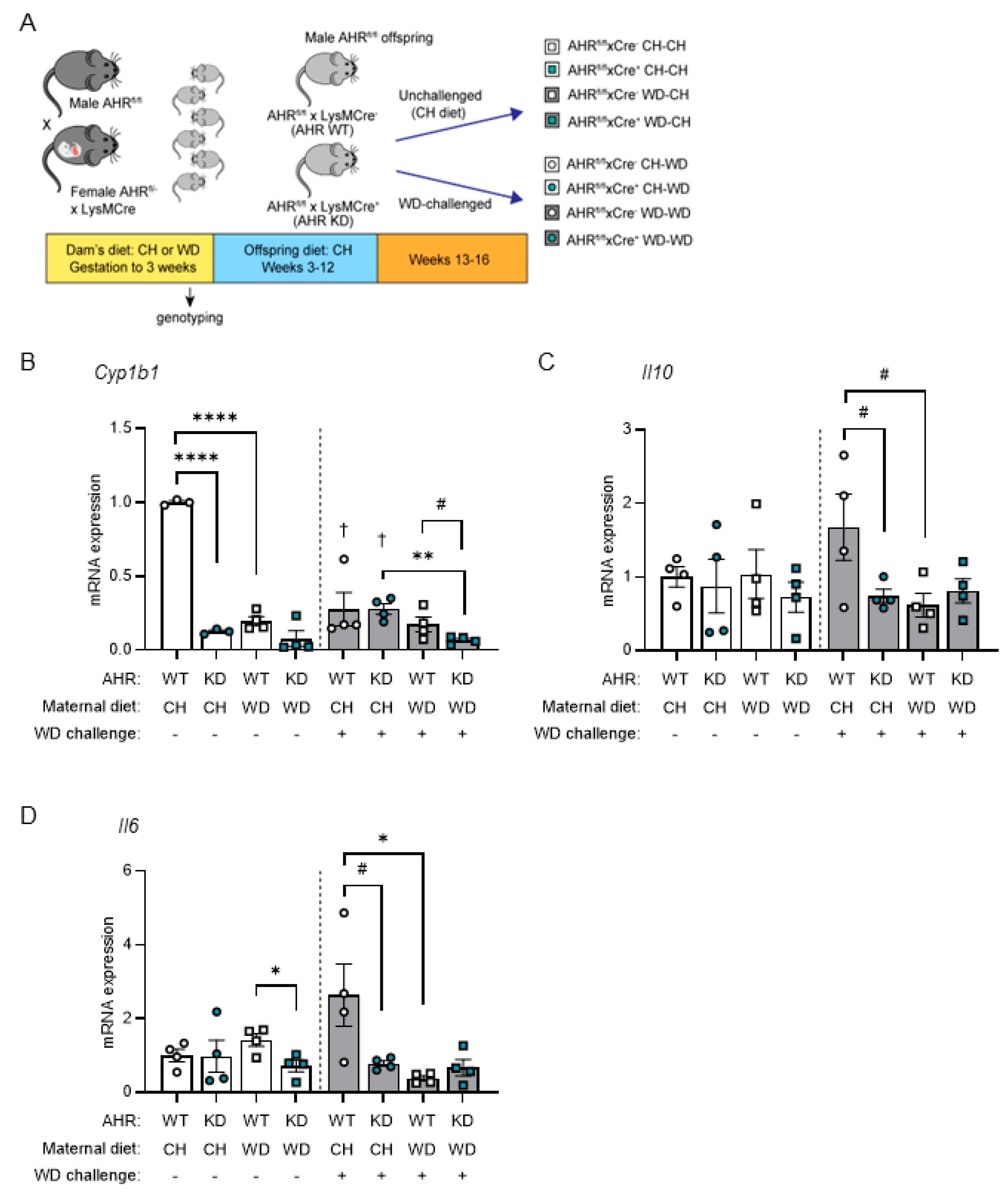 Preprints 106222 g005