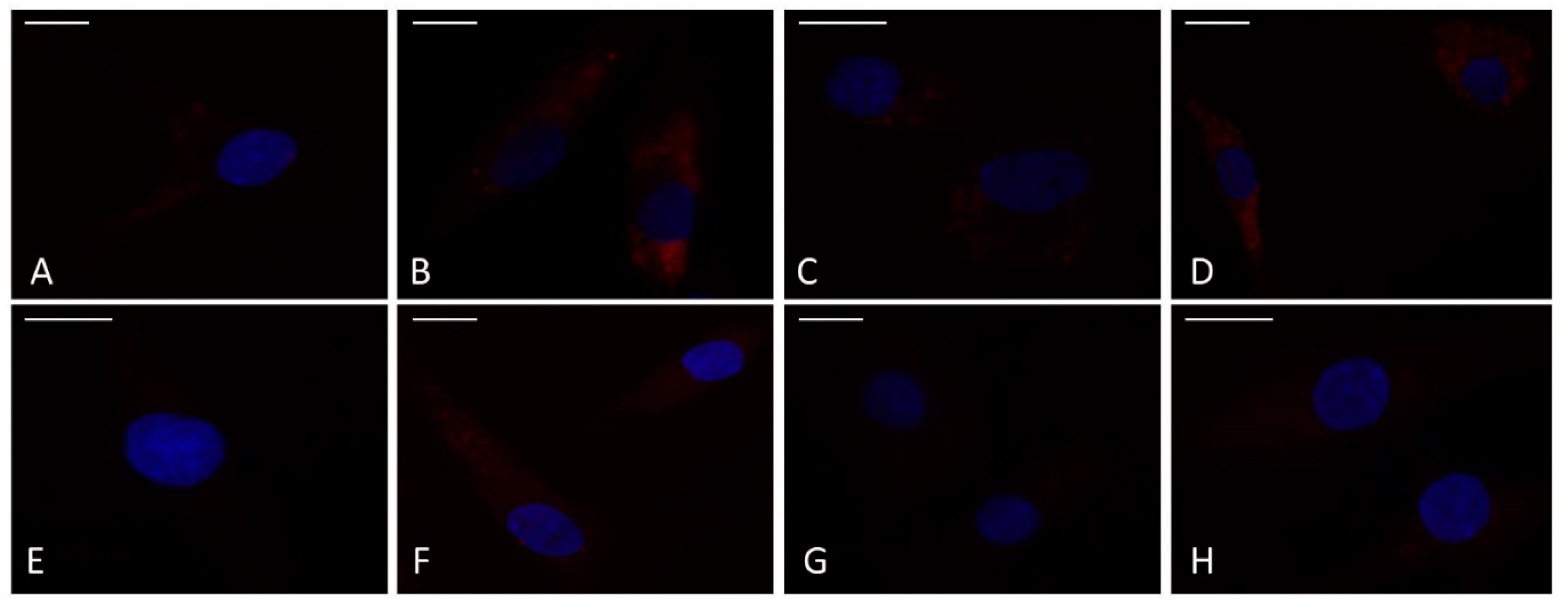 Preprints 84679 g002