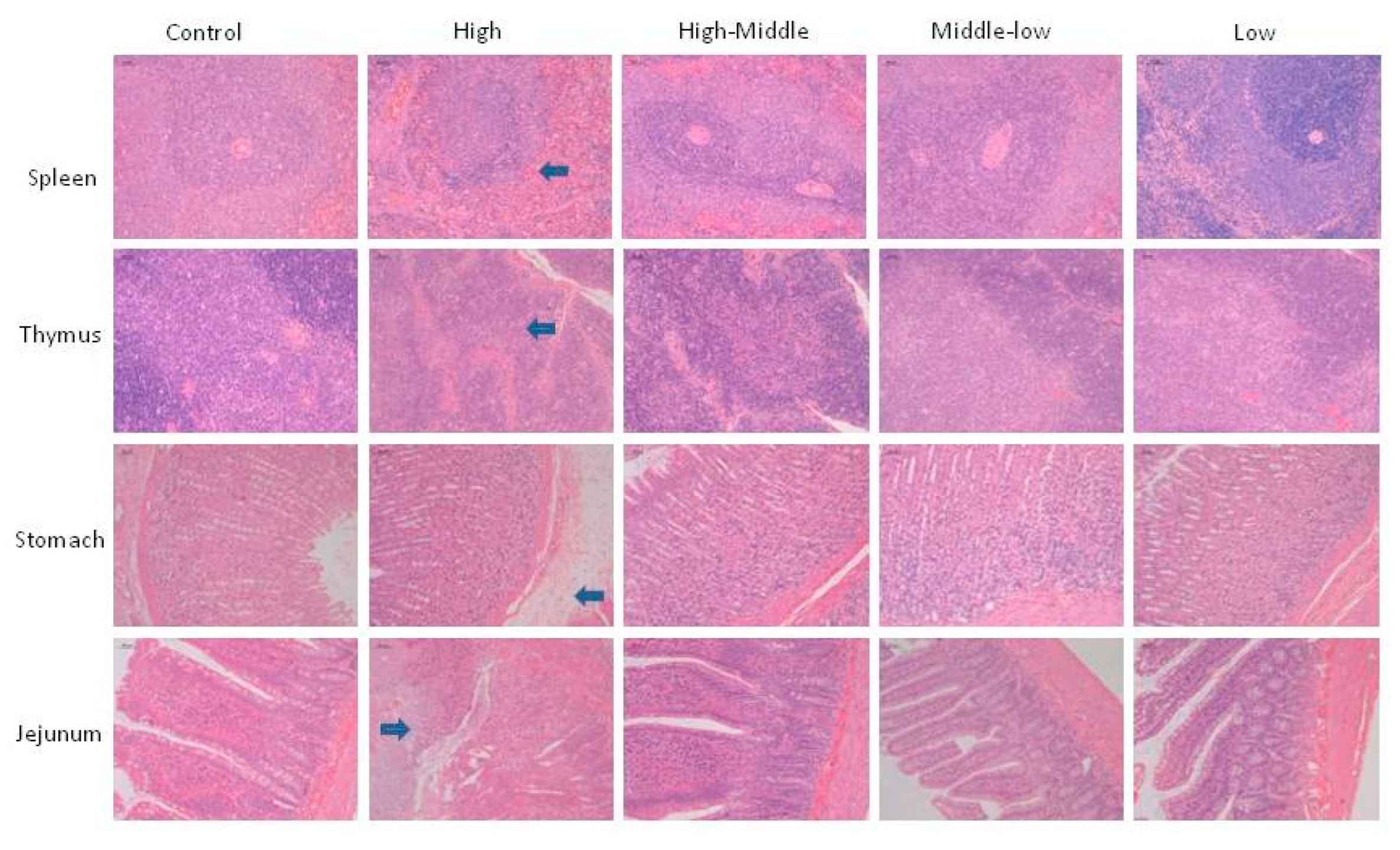 Preprints 85408 g002