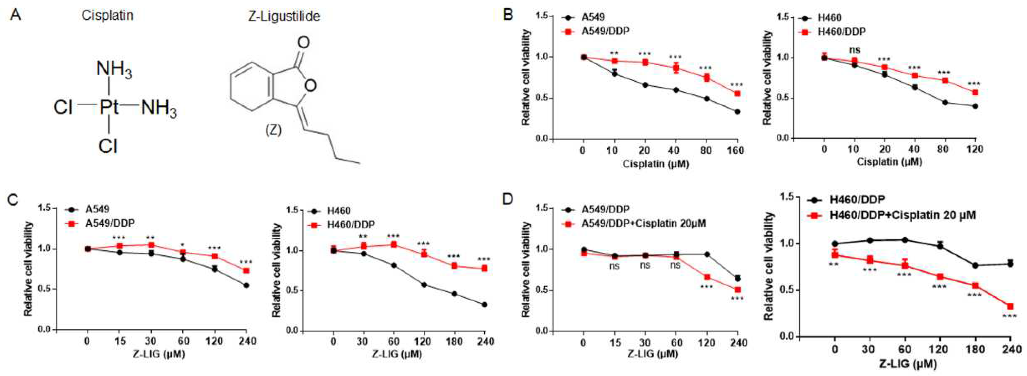 Preprints 80350 g001