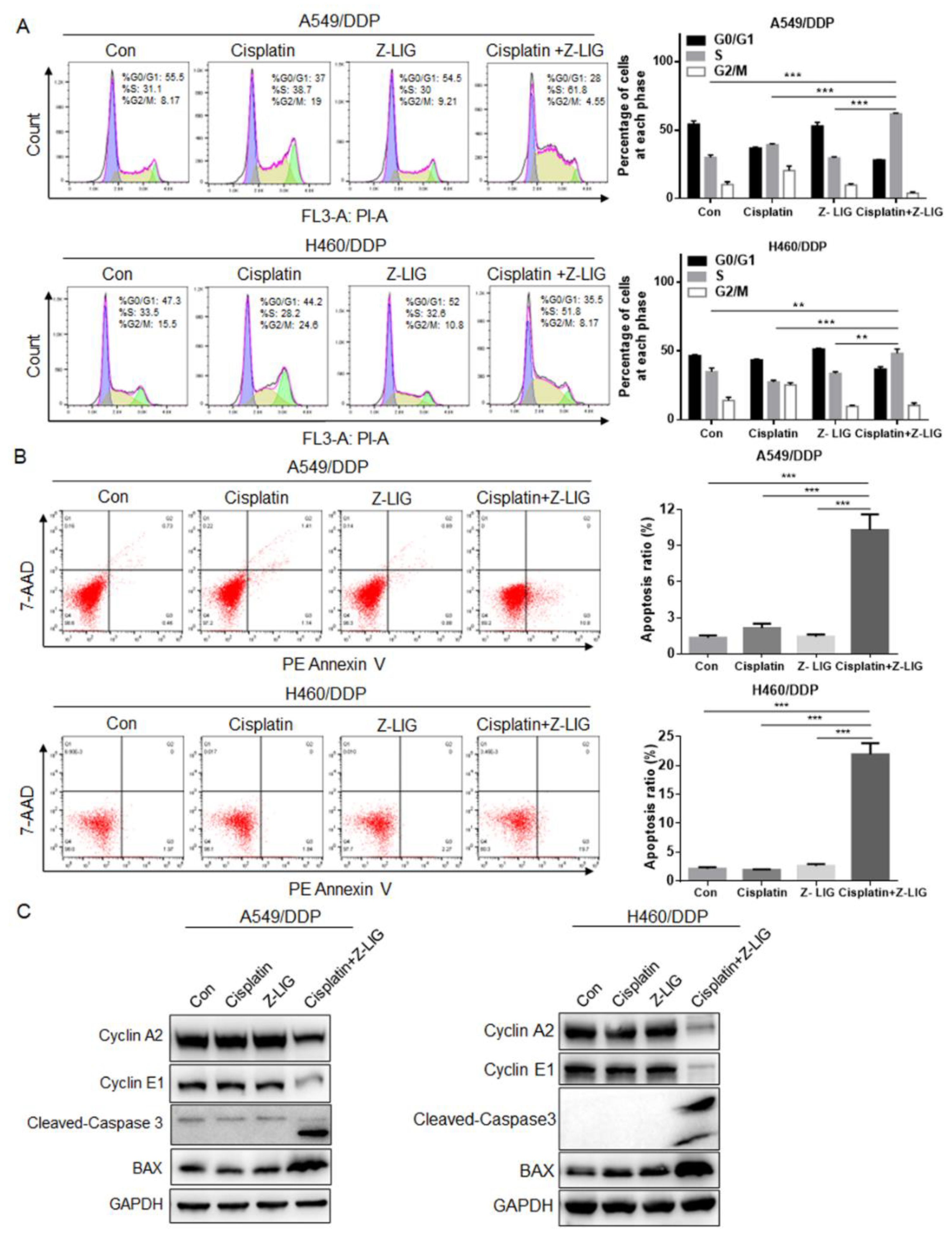 Preprints 80350 g002