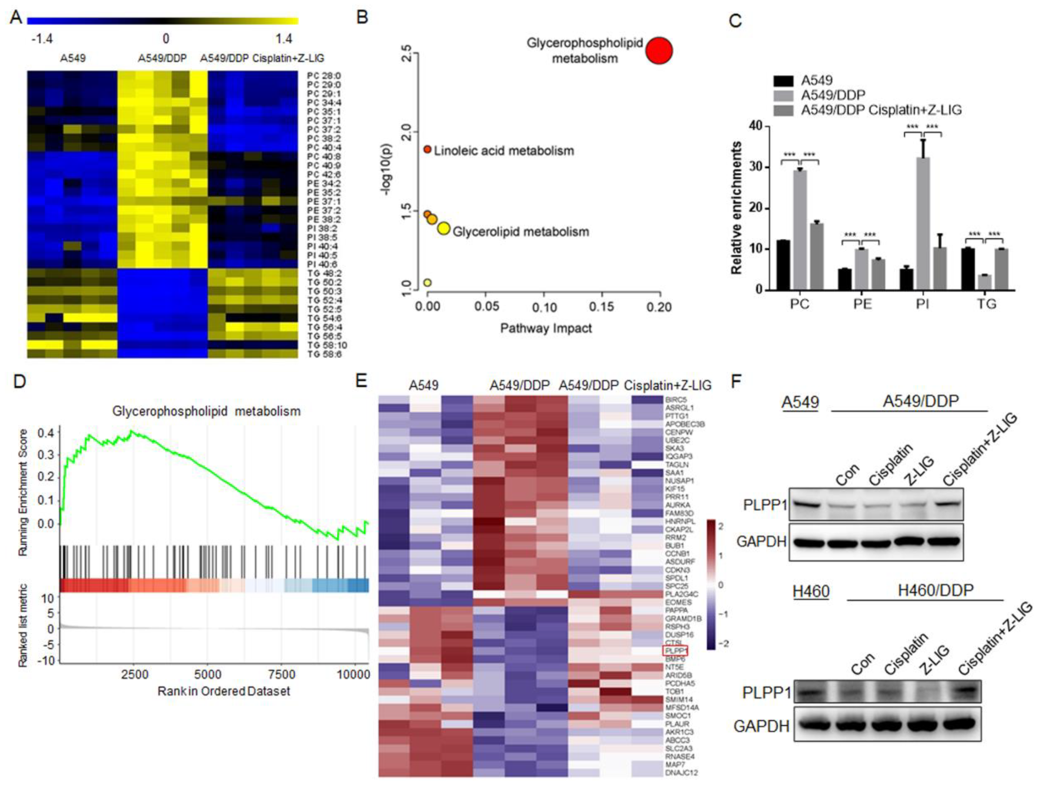 Preprints 80350 g003