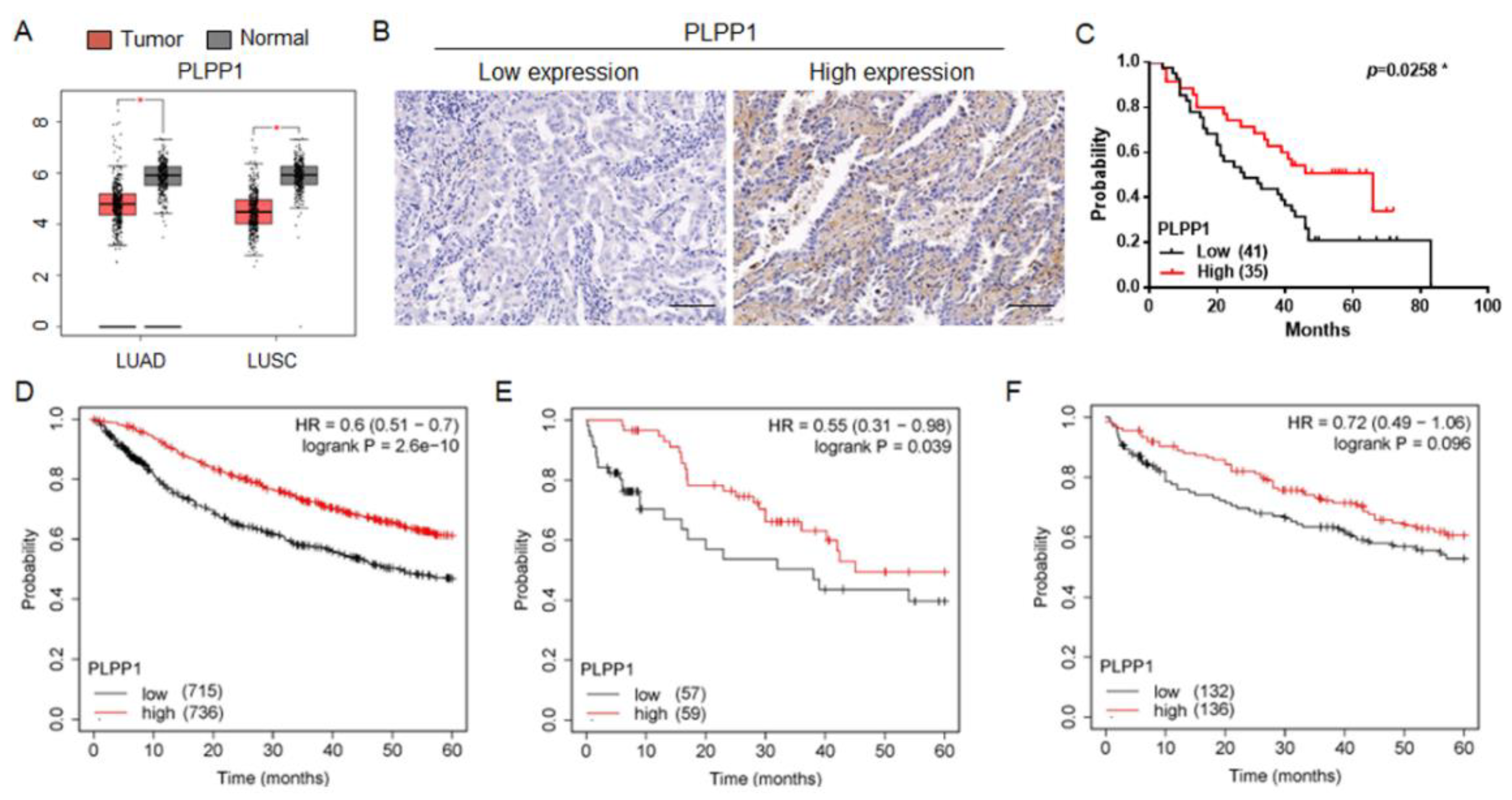 Preprints 80350 g004