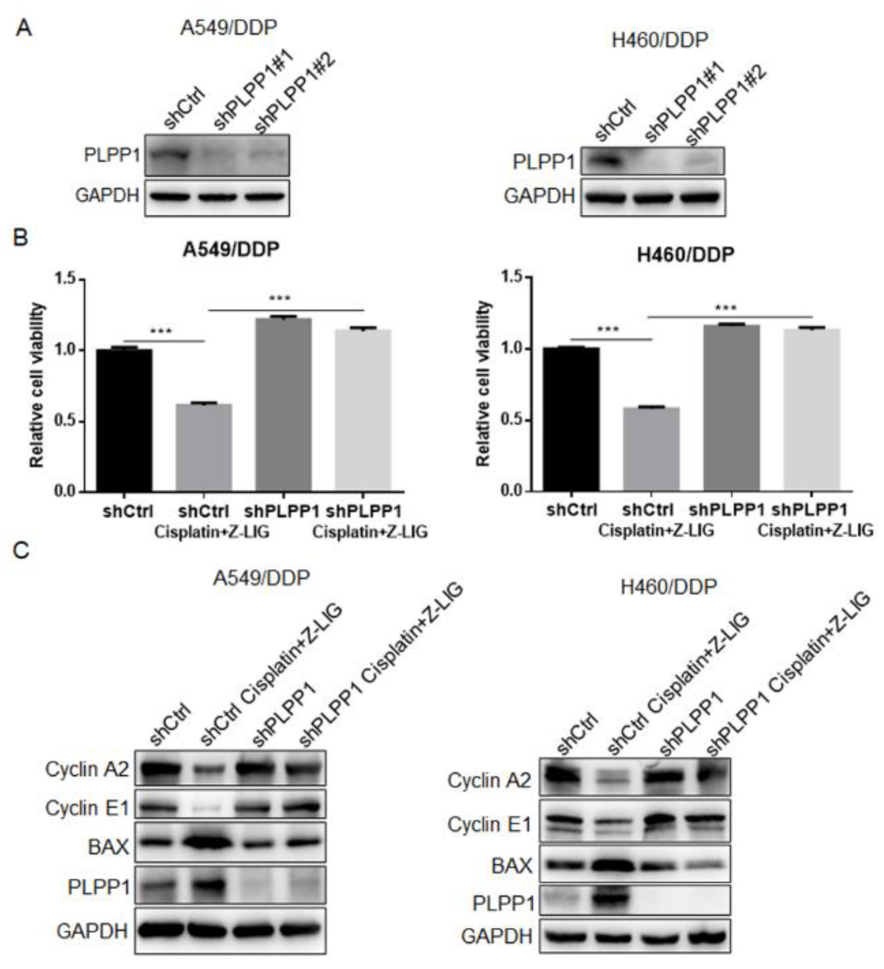 Preprints 80350 g005