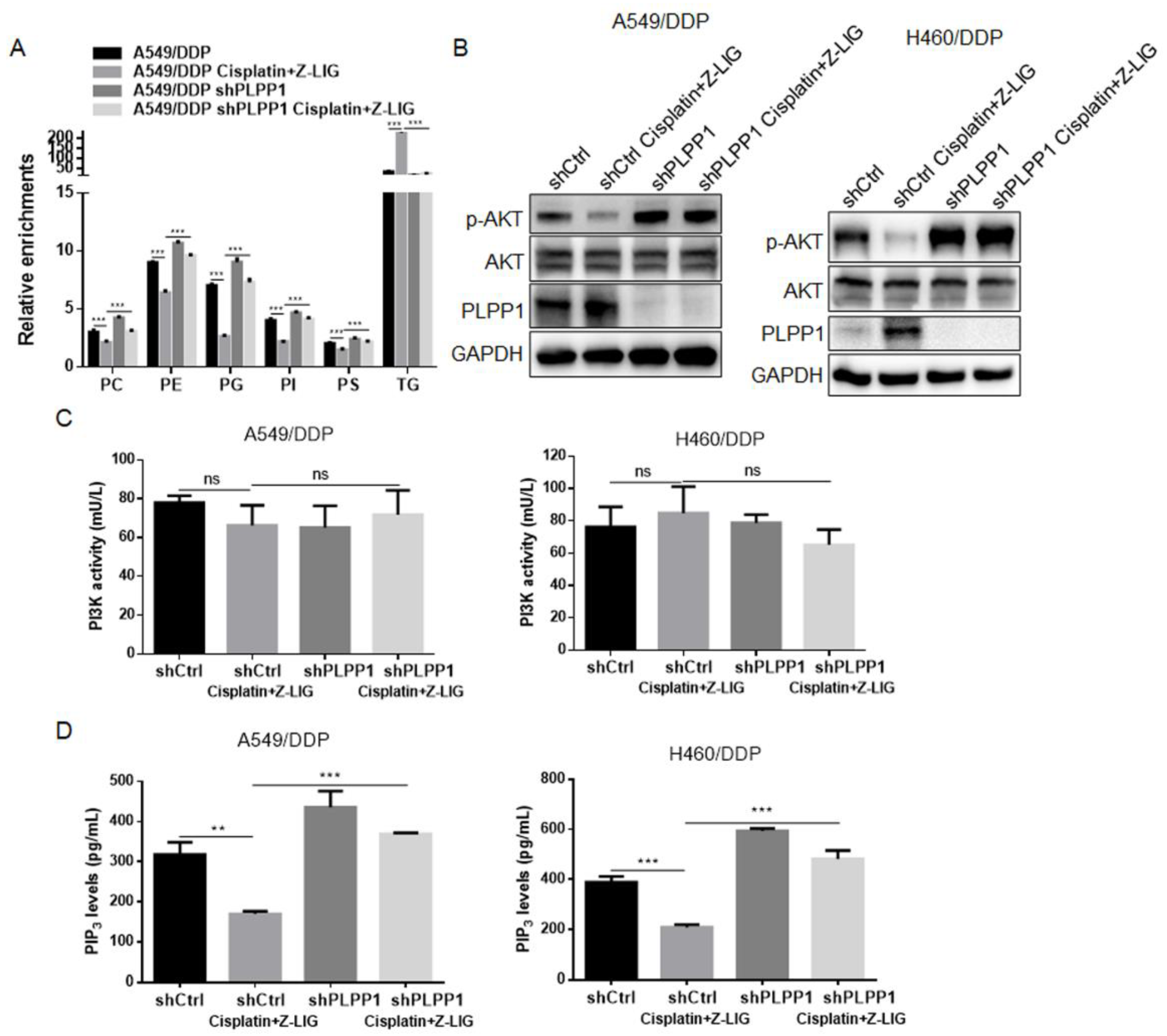 Preprints 80350 g006