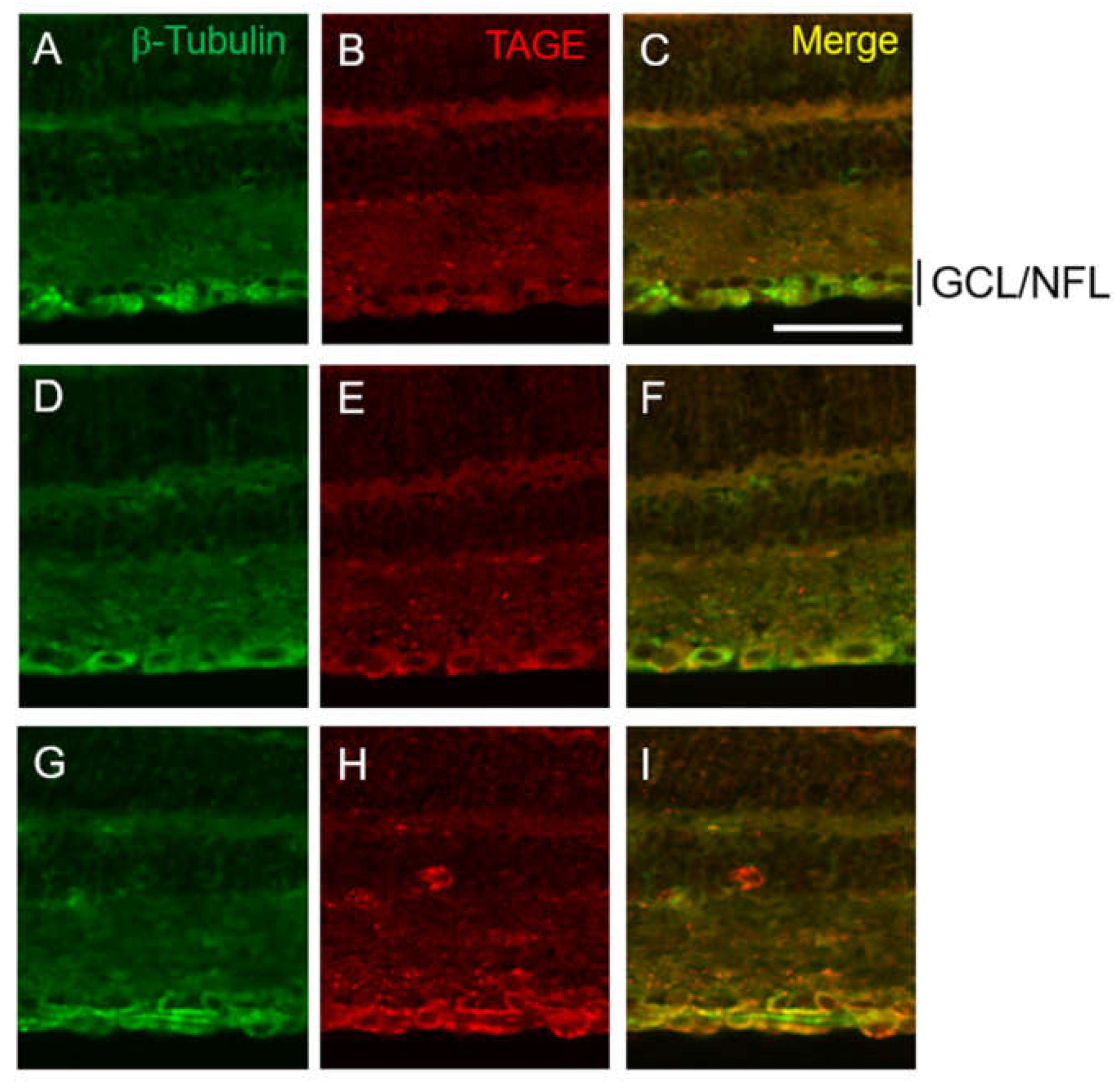 Preprints 105689 g002